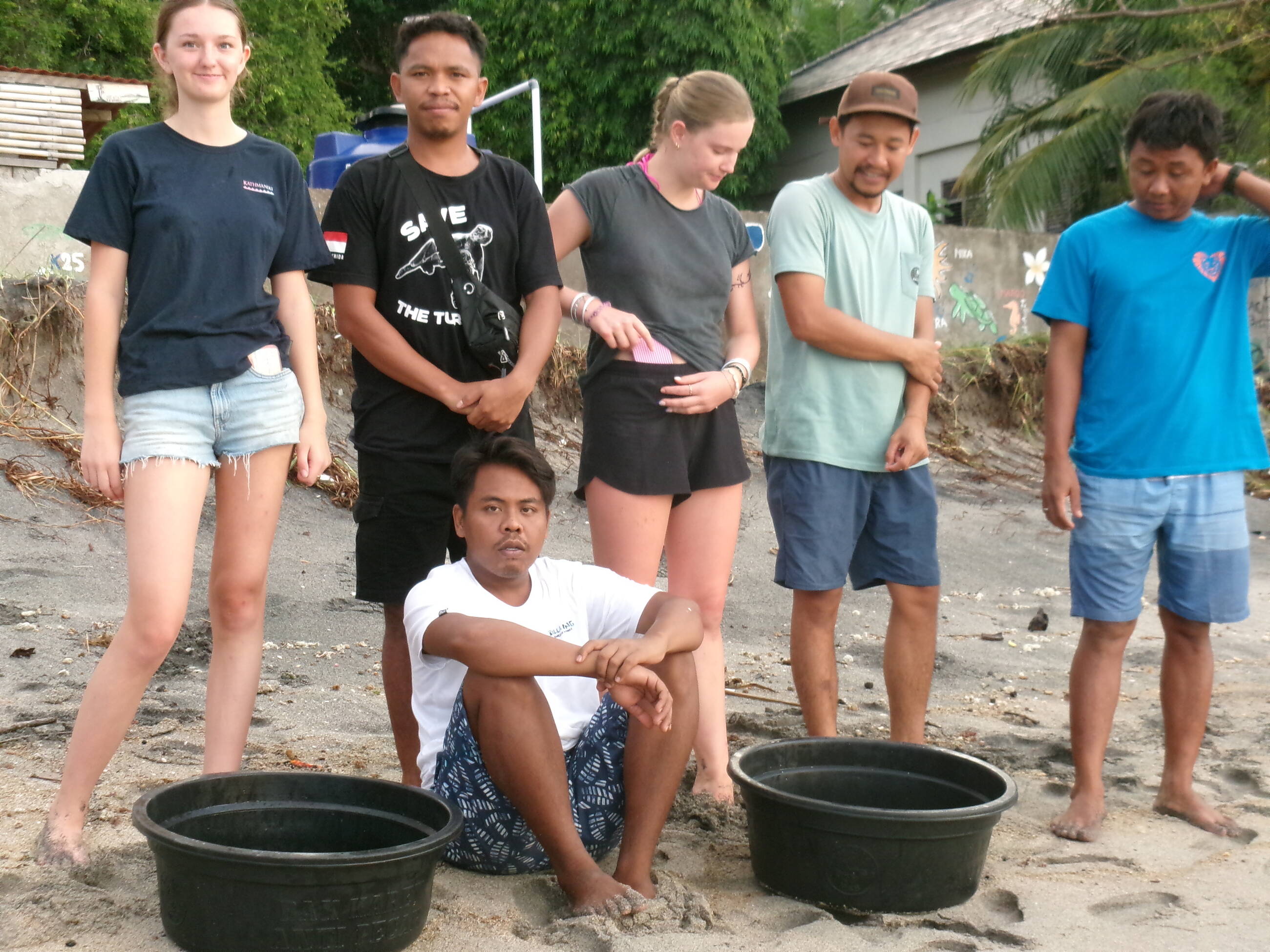 releasing turtles