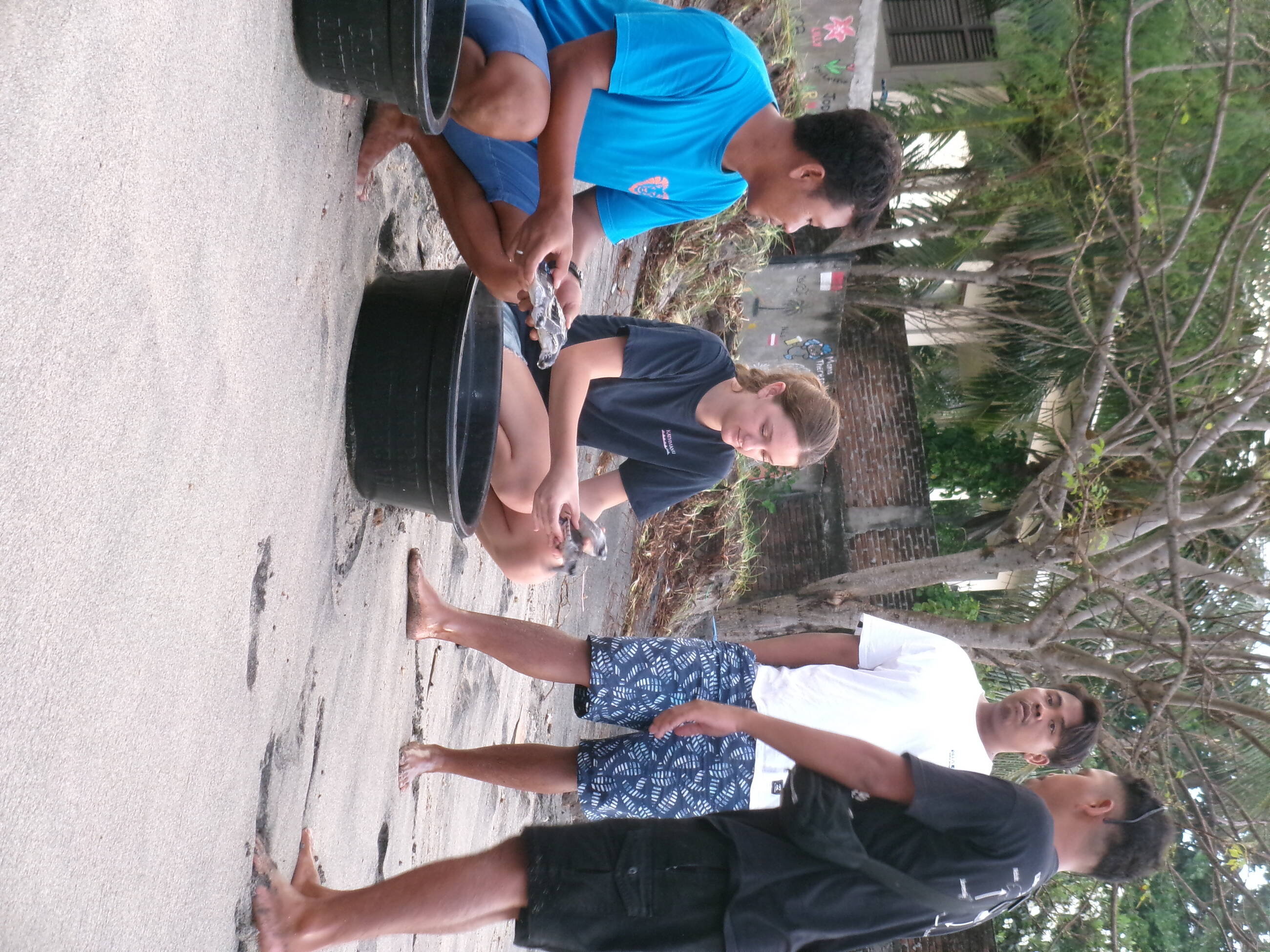releasing the turtles