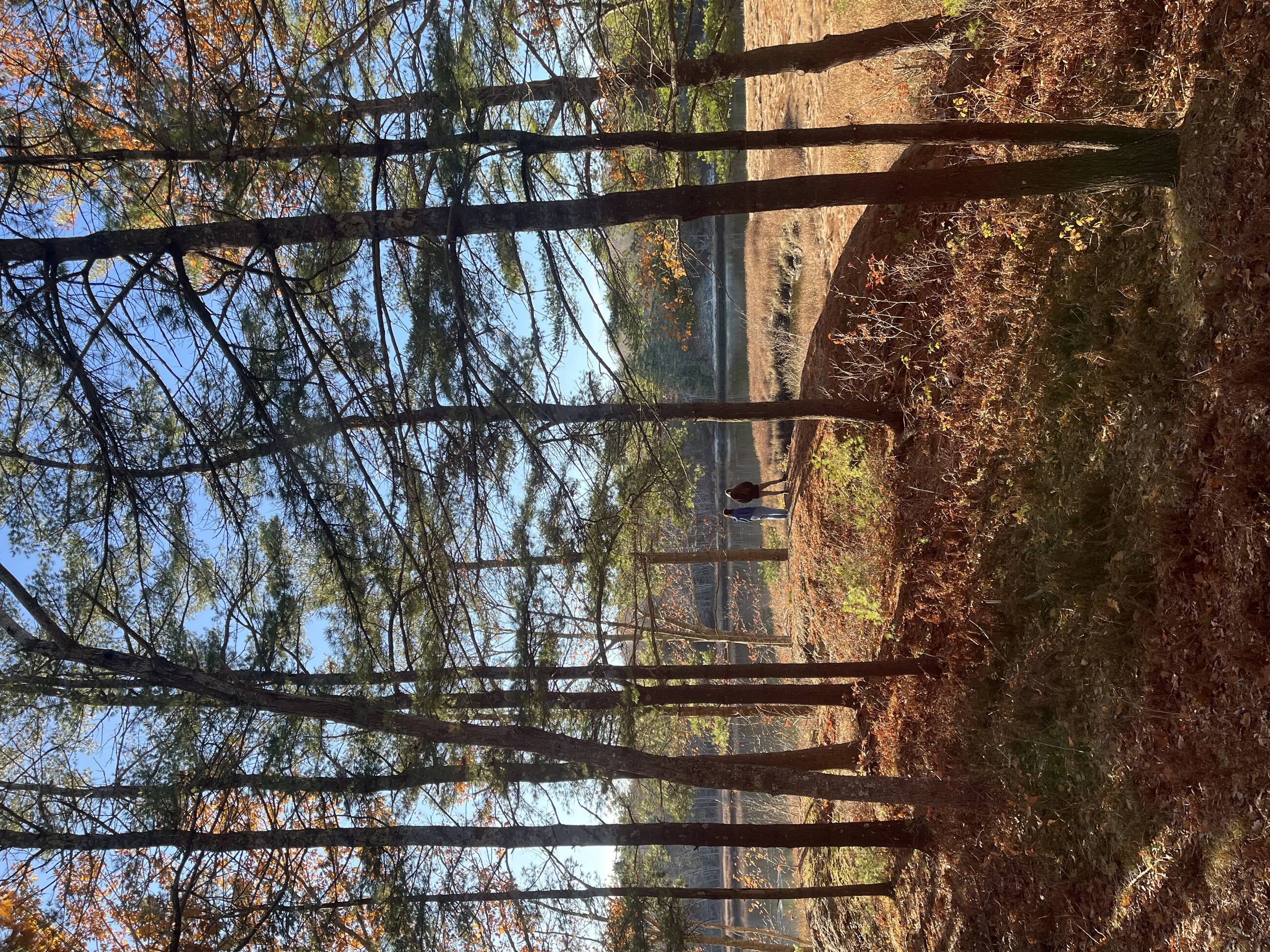 View from the window of my cabin