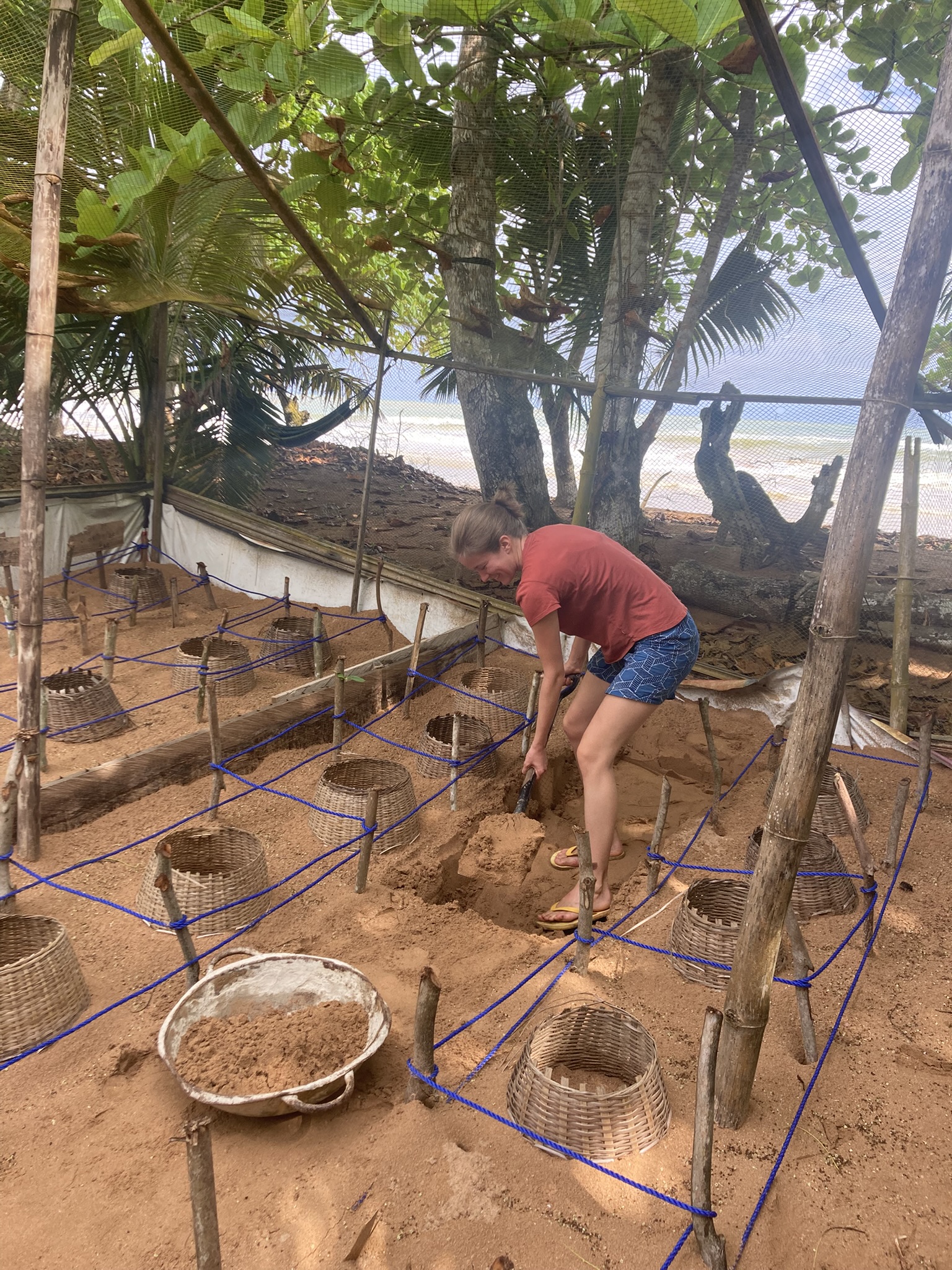 hatchery upkeep