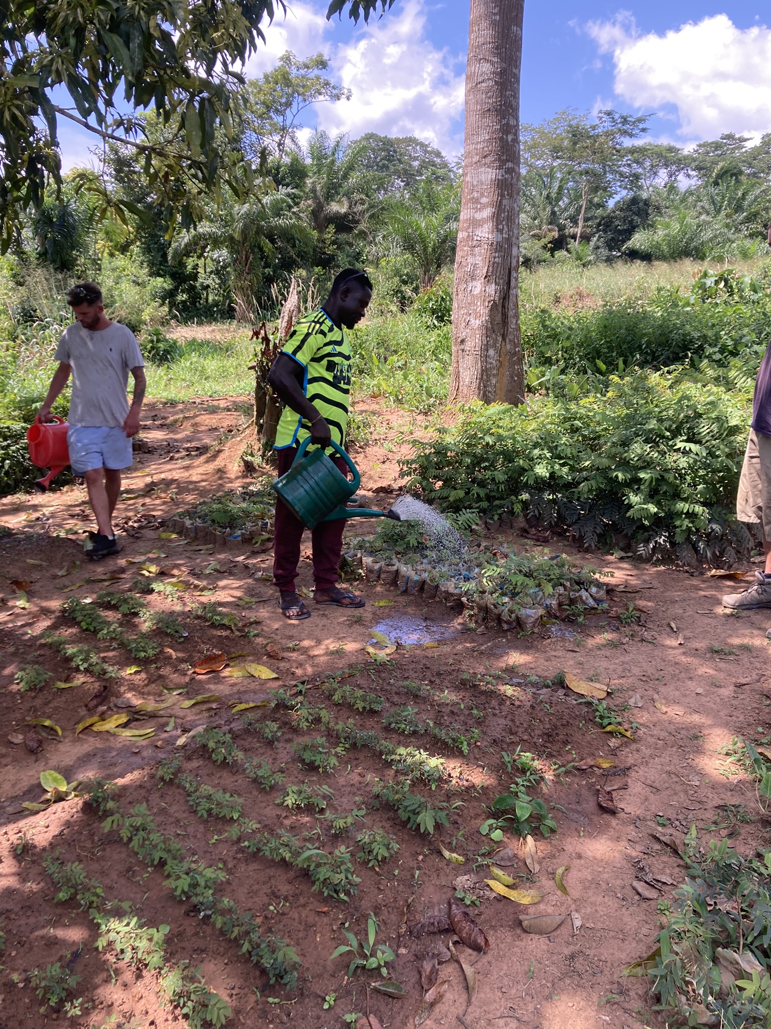 Tree nursery