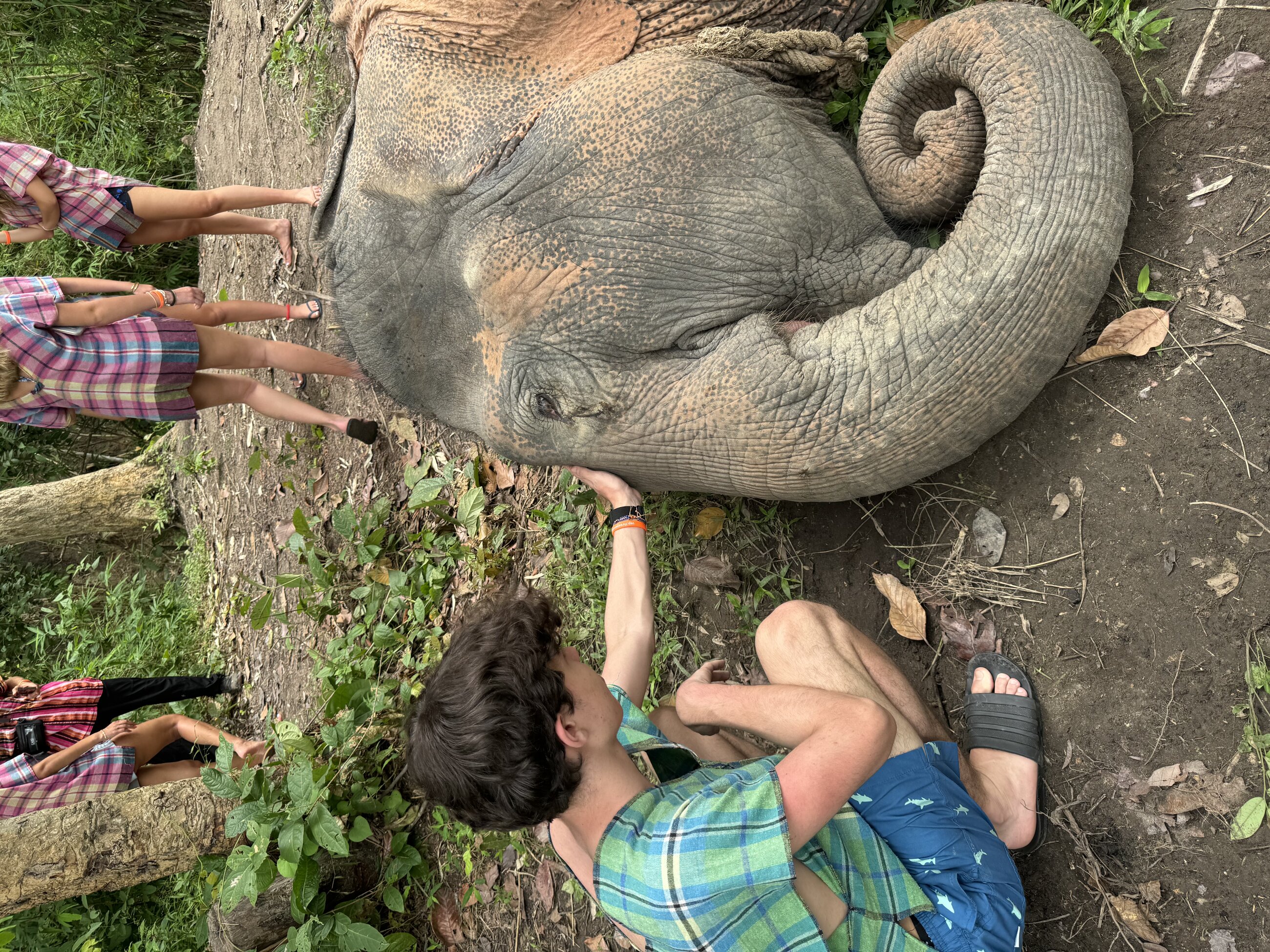 Me with an Elephant at the Conservation Center