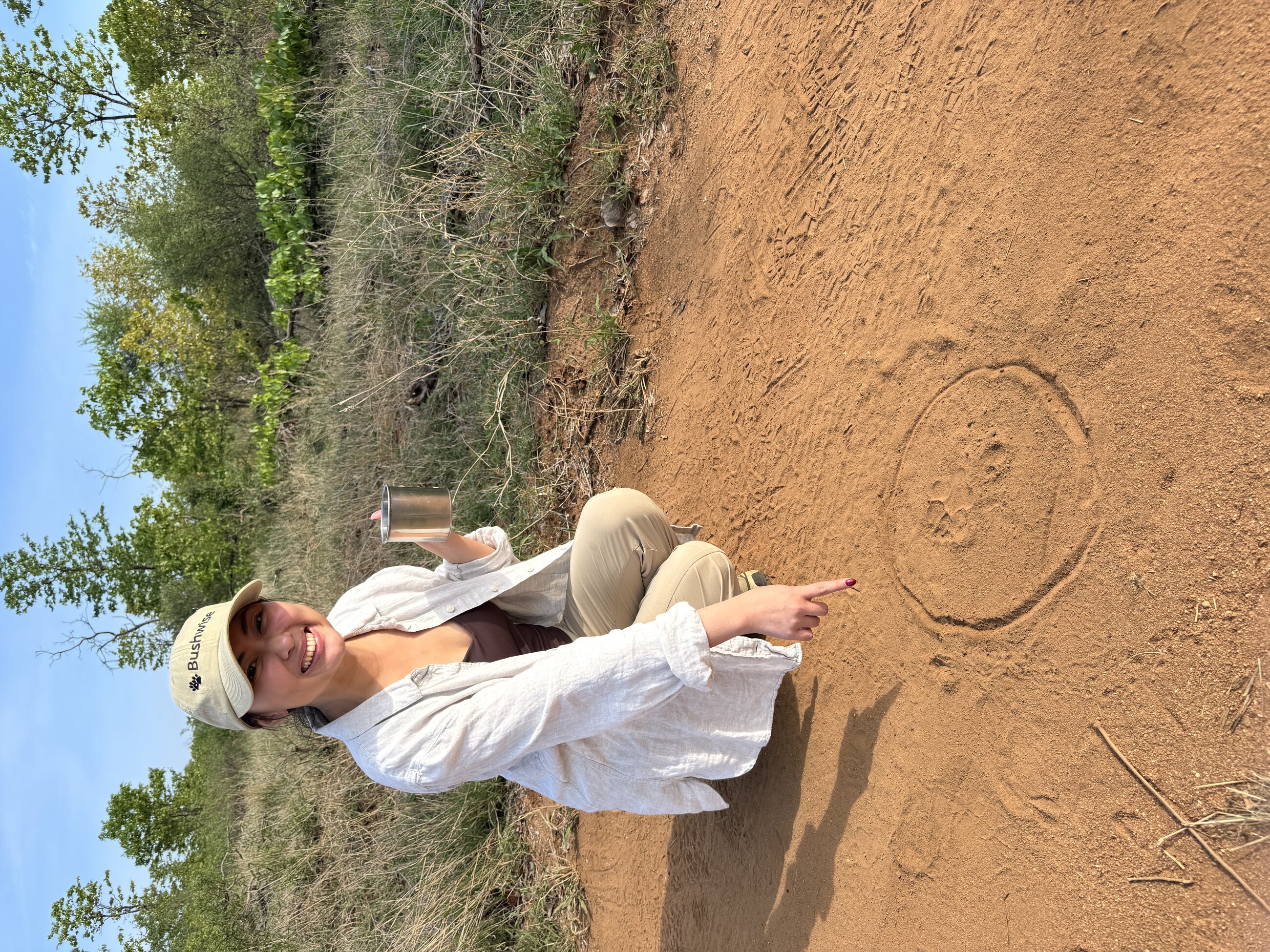 Animal tracking