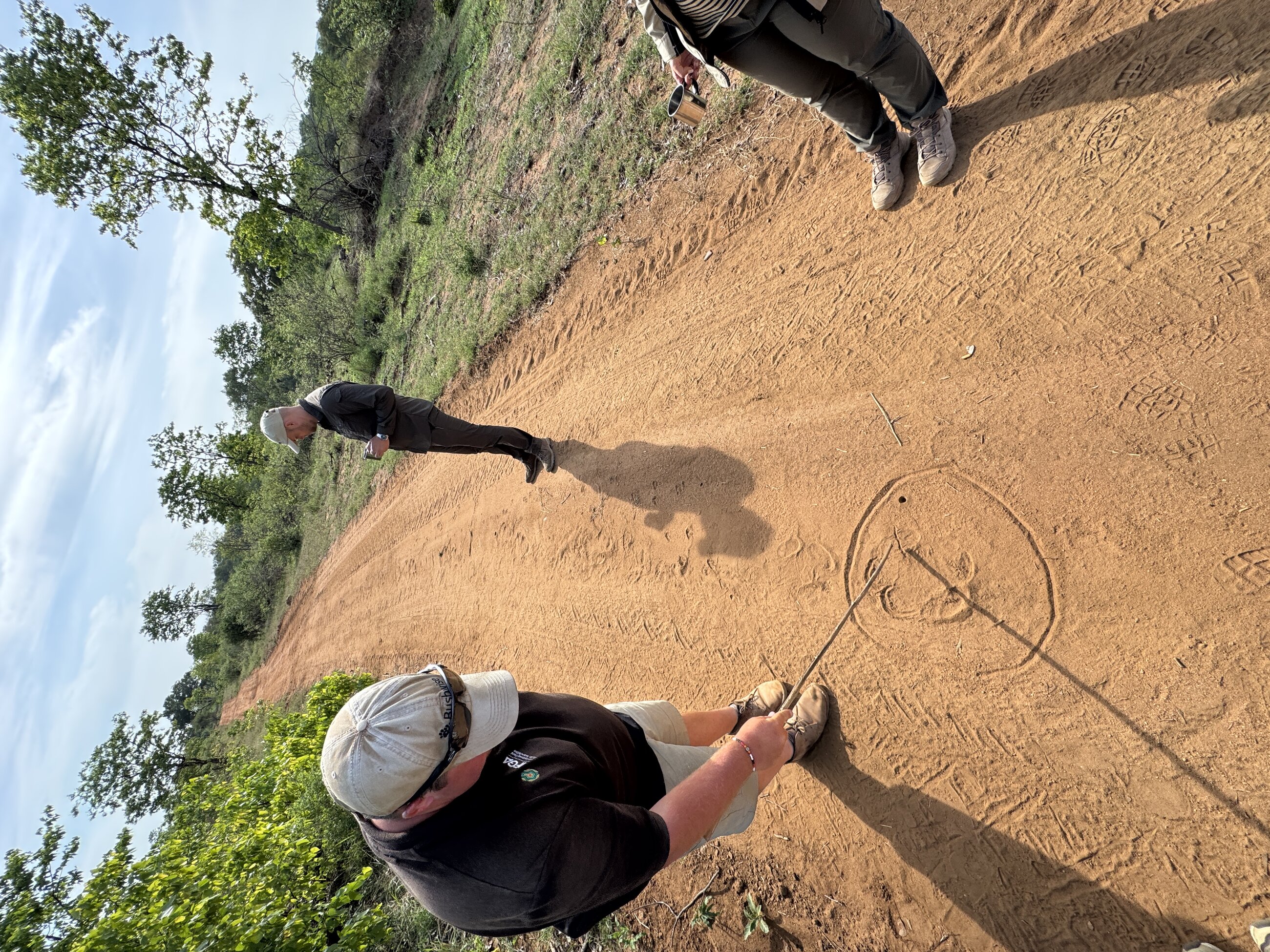 Animal tracking