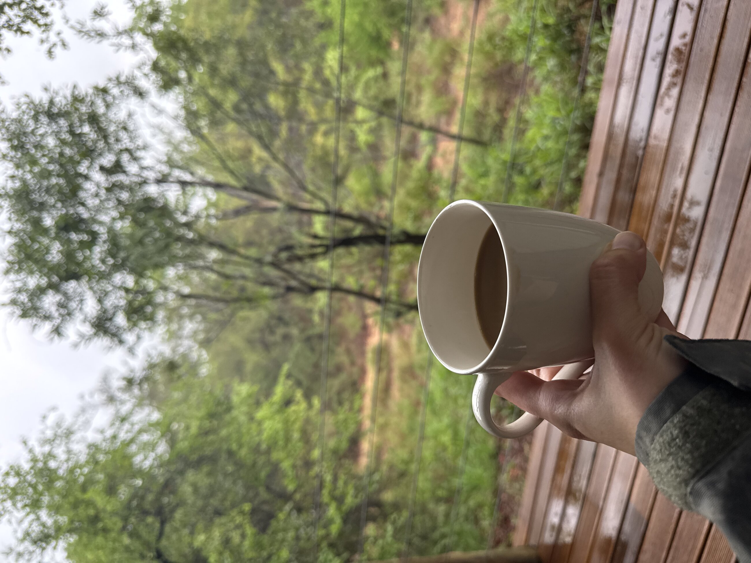 Back porch views