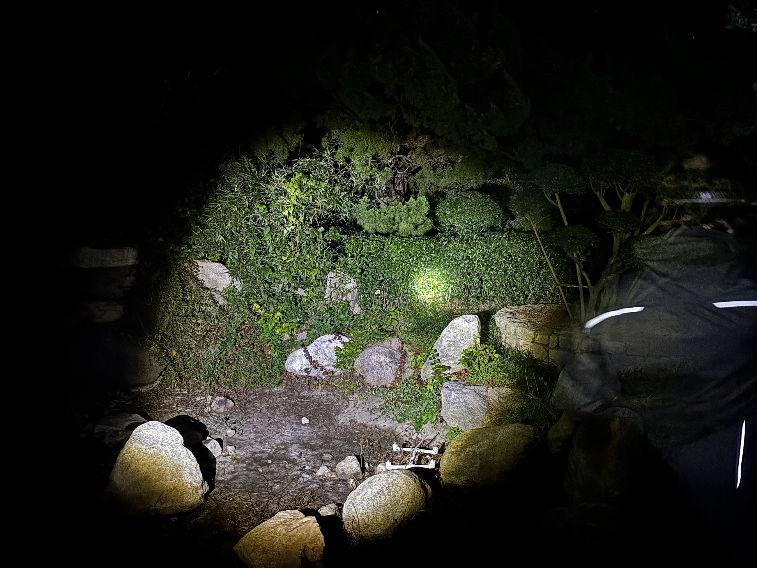 Night Hike