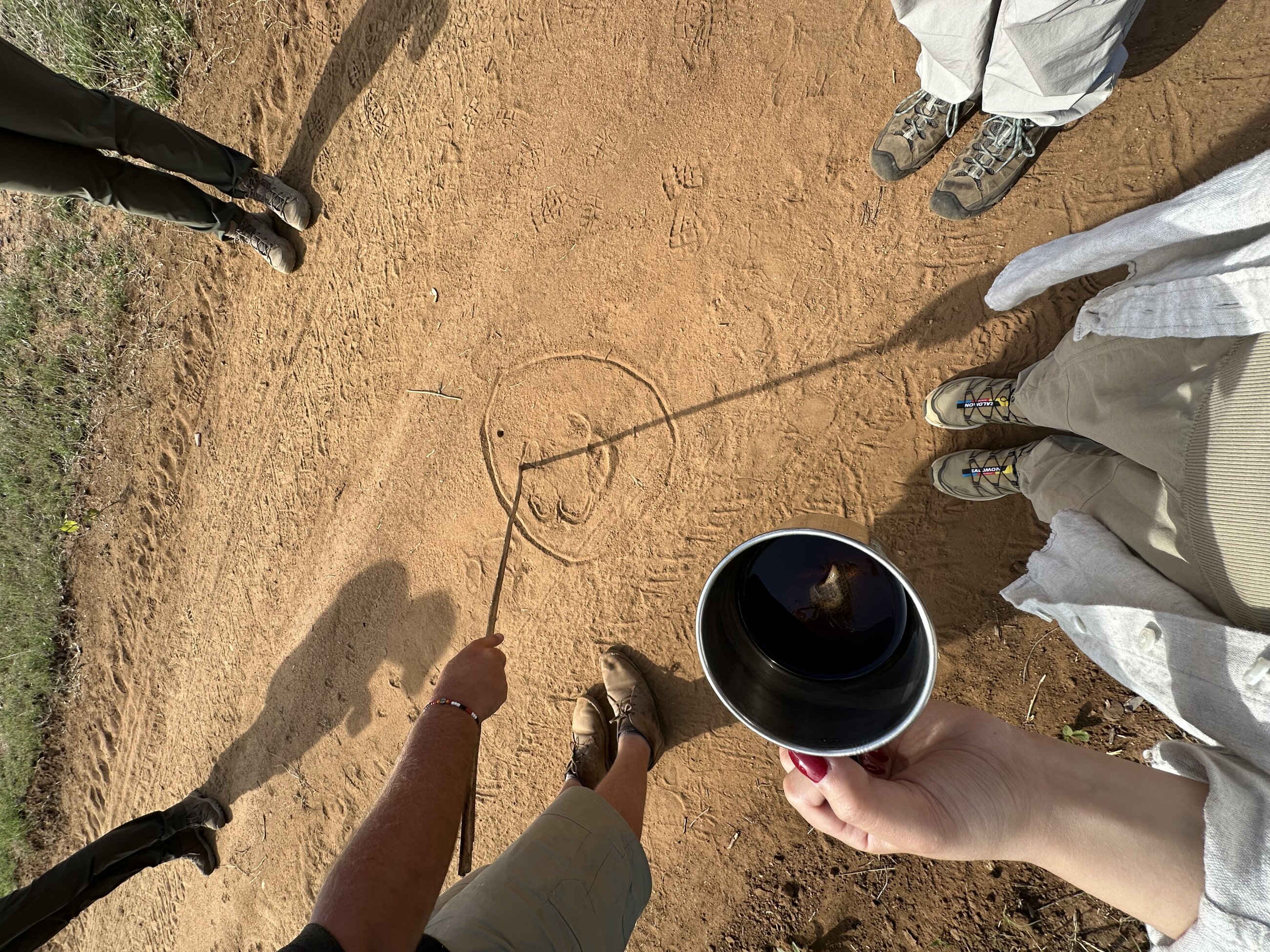 Tracking animal footprints!