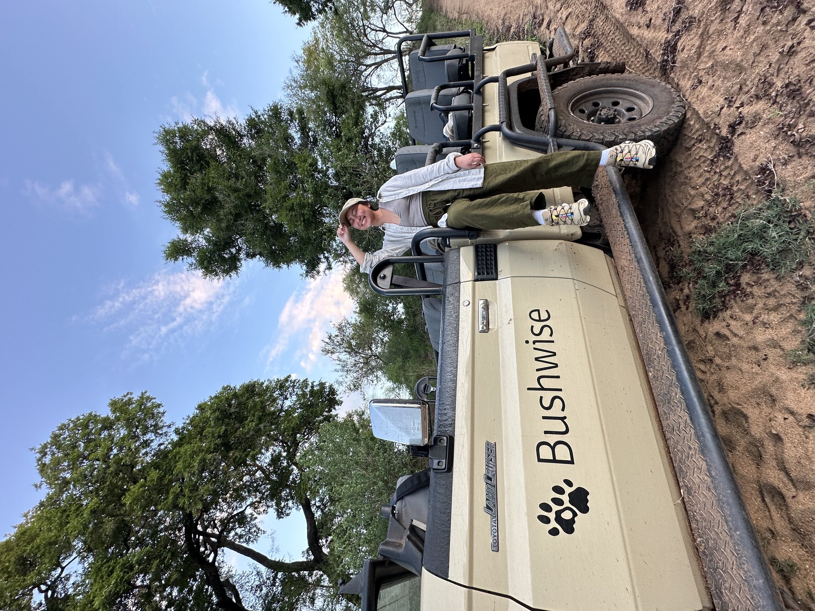 Bushwise game drive vehicle