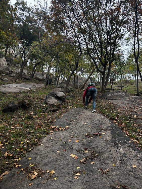 Taking a "shortcut" in Zhongshan Park