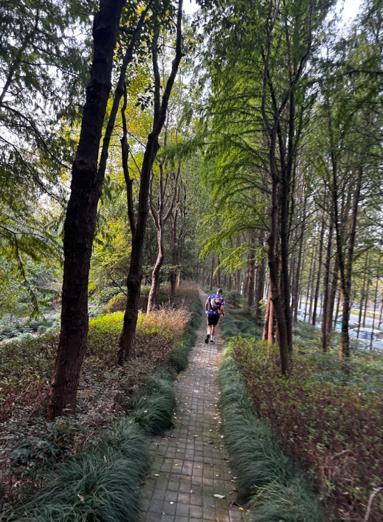 A scene from a run