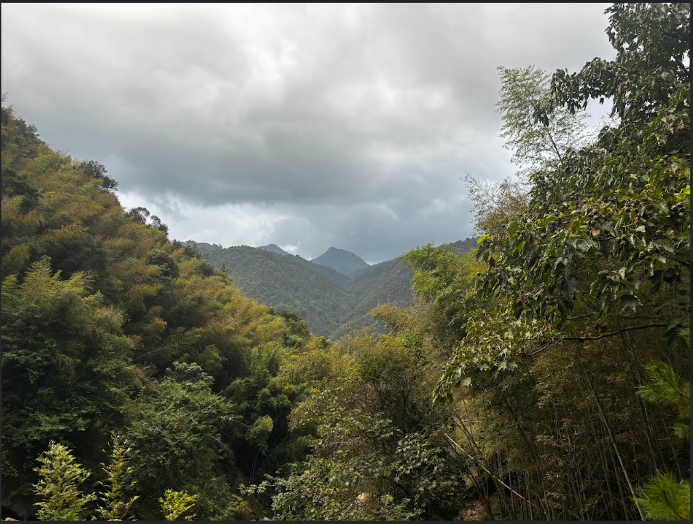 Top of Laoshan Mountain