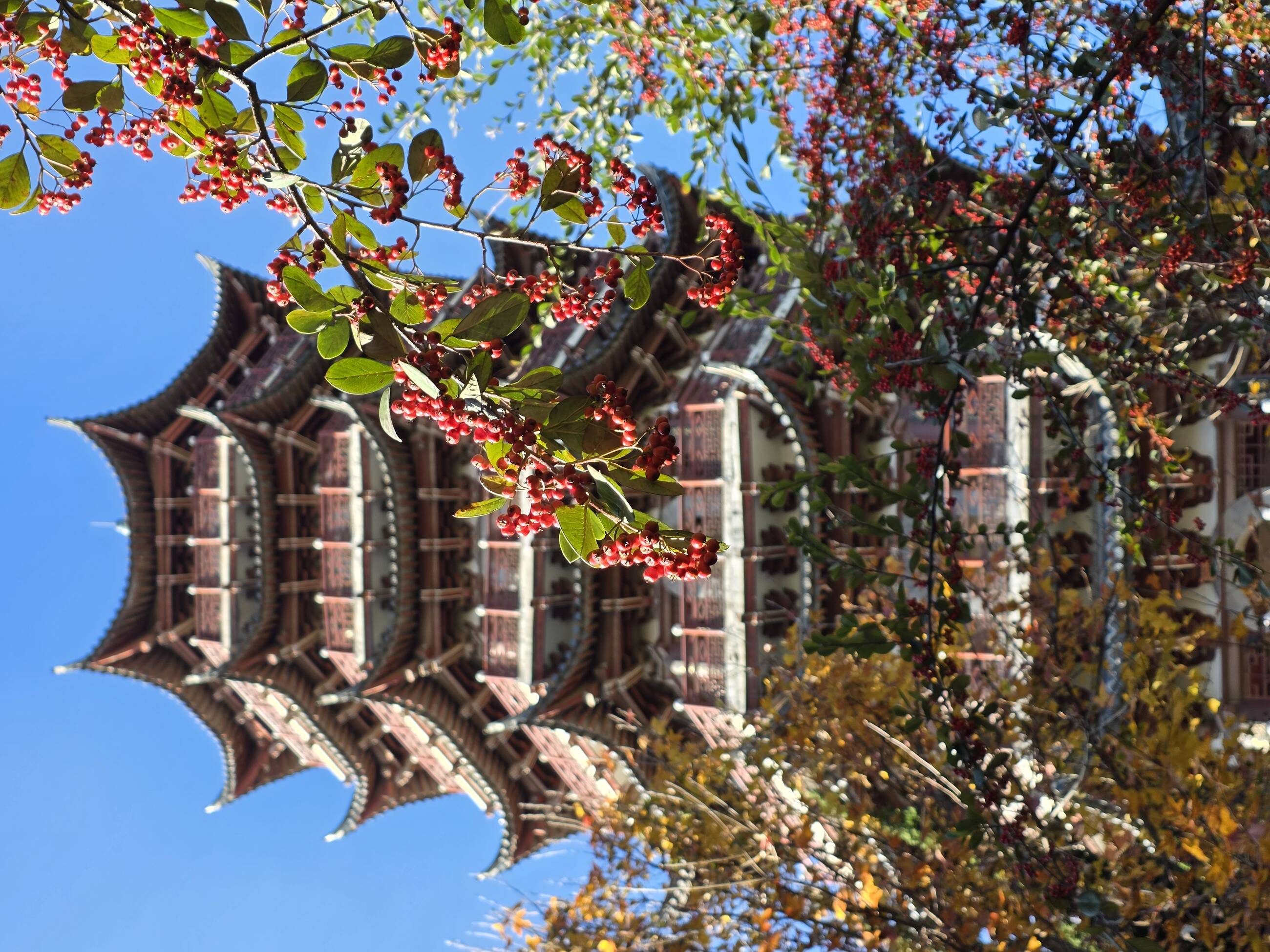 昙华寺