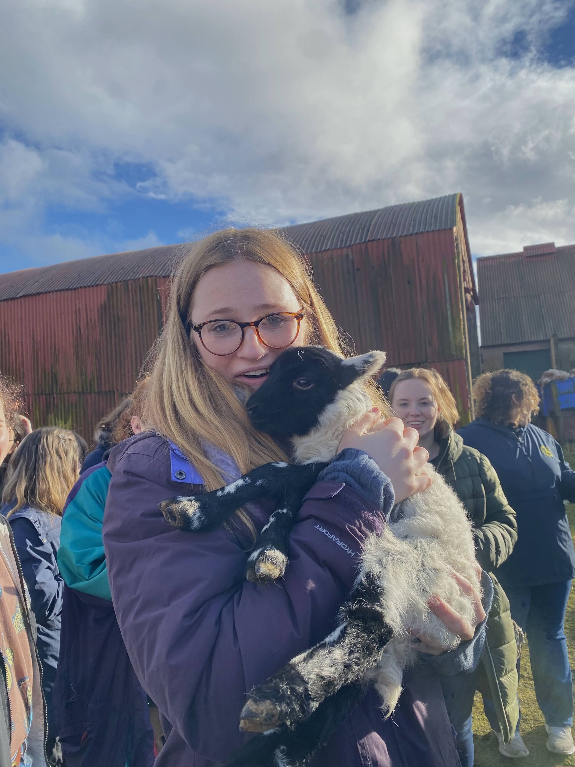 Holding a baby lamb at a wool farm we visited on Arcadia Abroad's Highlands Weekend