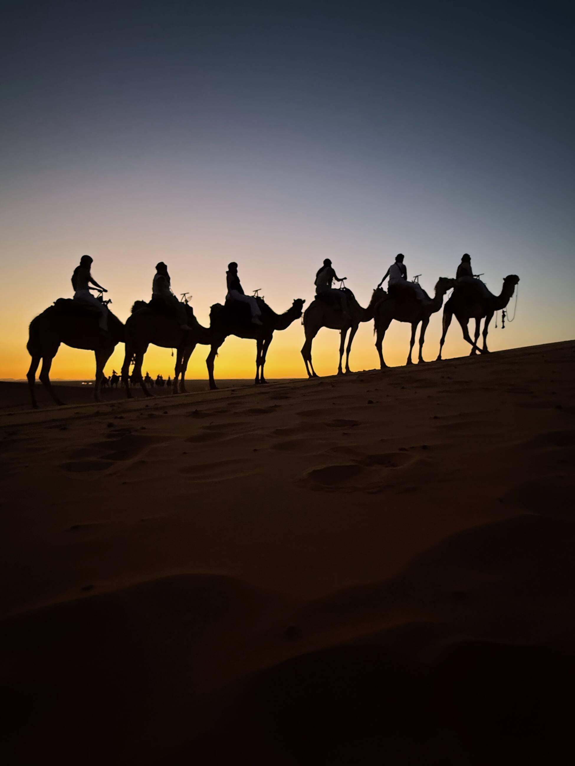Camel riding in the Sahara Desert