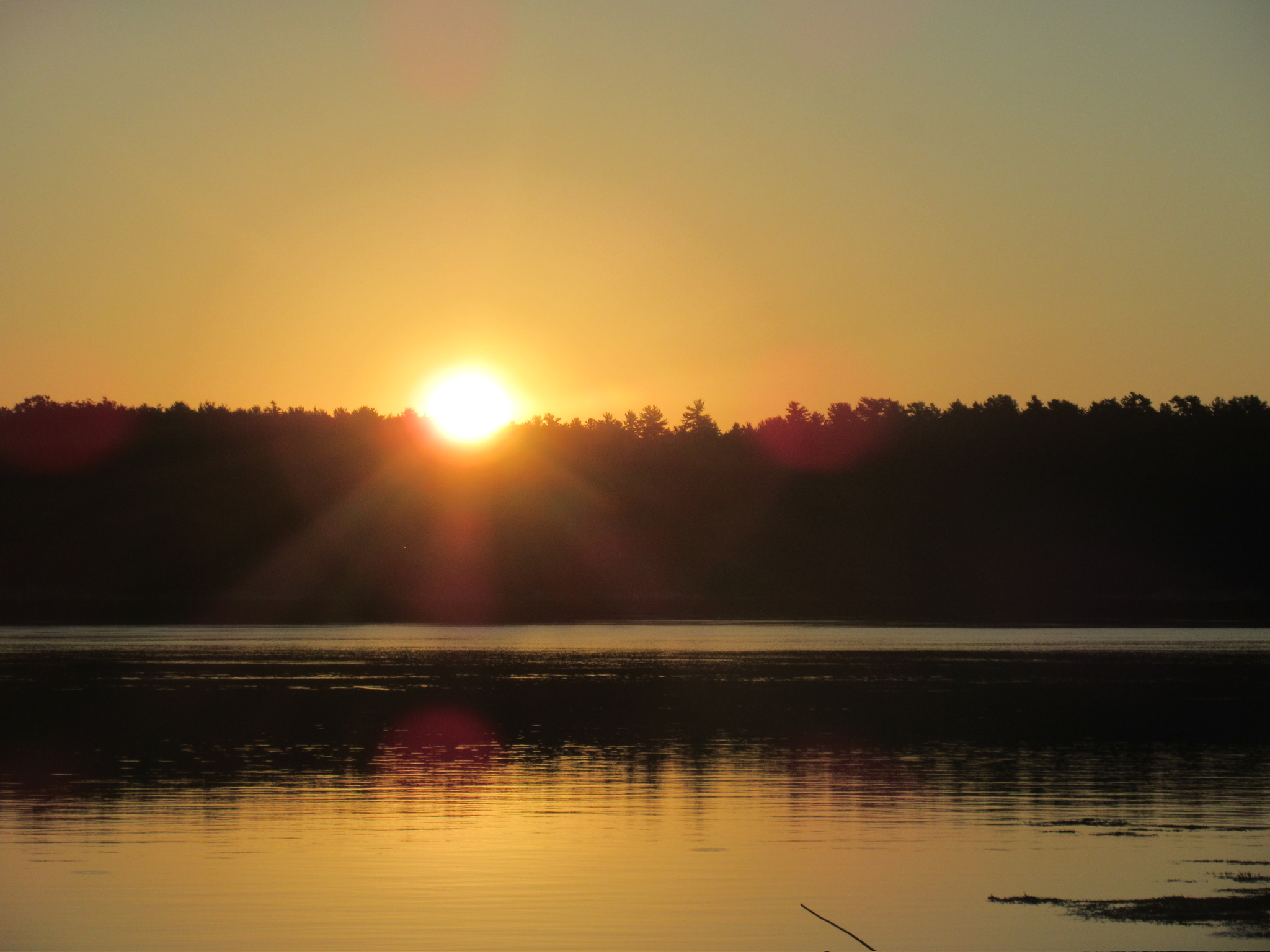 Sunrise