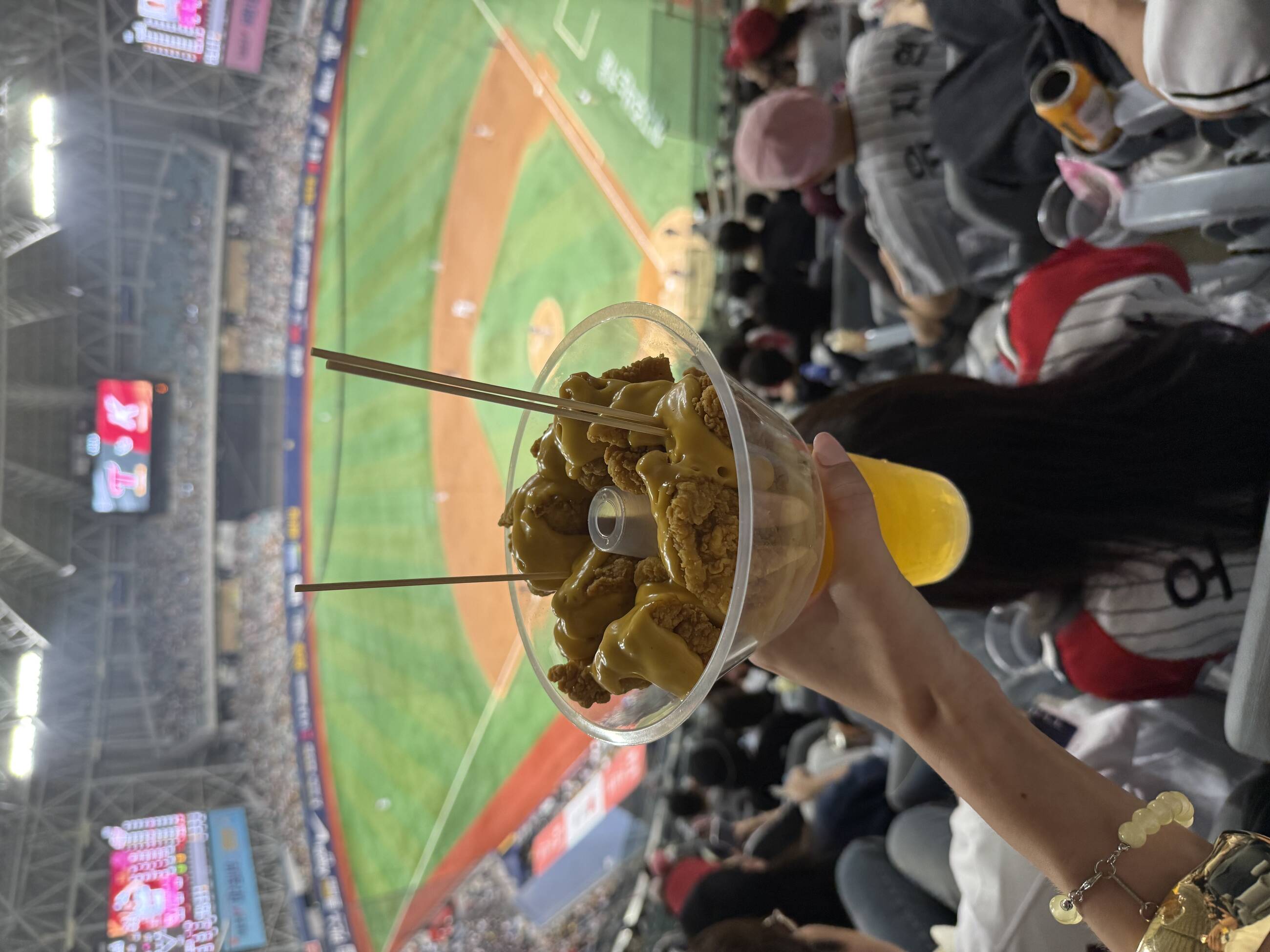 Sky Dome Baseball Game