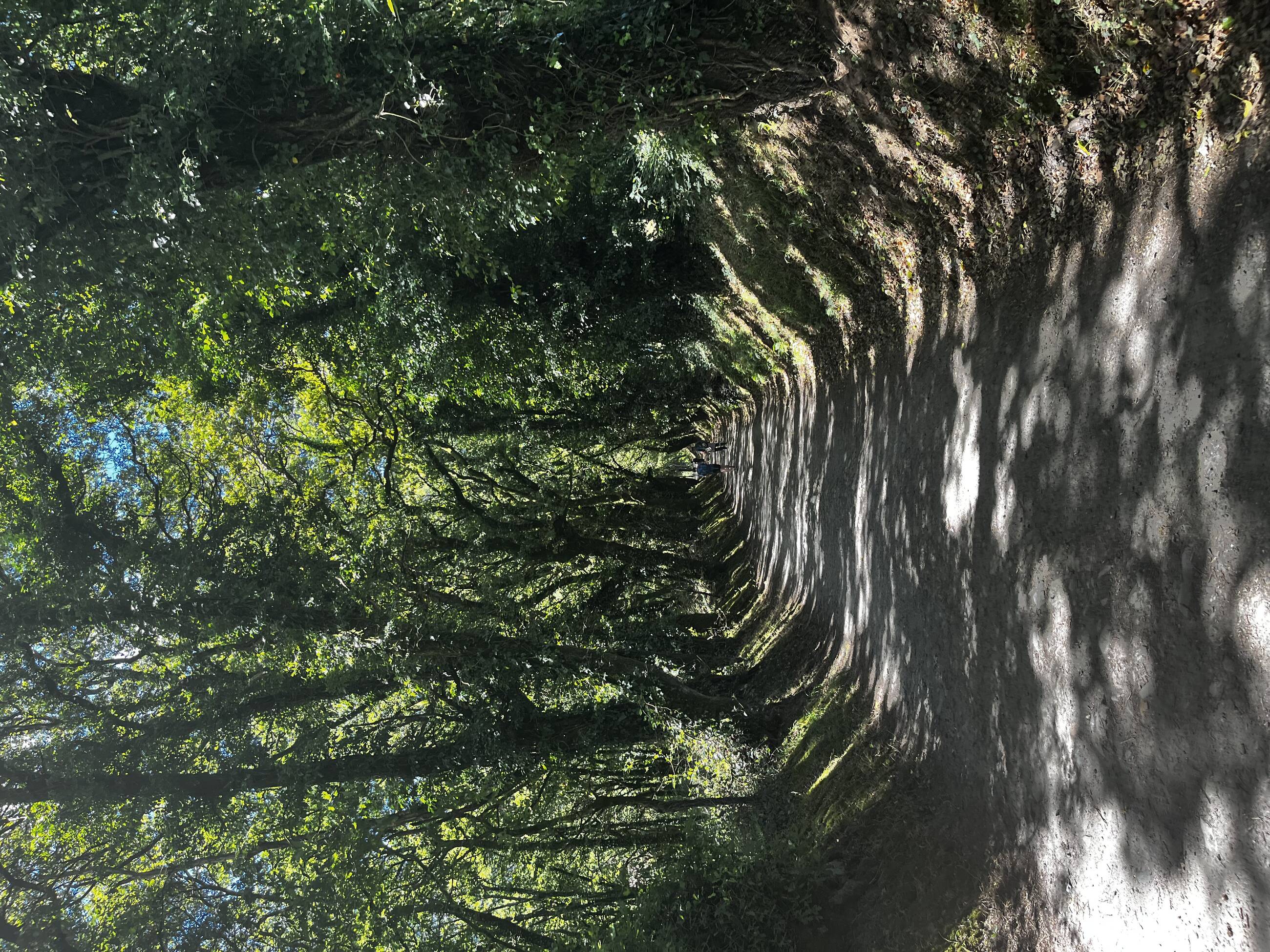 The landscapes we walked through 