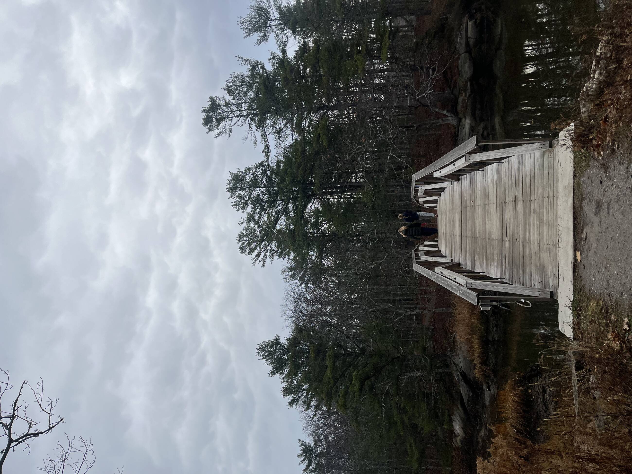 Photo of the bridge! The location of Seguinland is part of what makes the place so special! Walking up to the beautiful leaves and nature every day was a highlight of my time! 