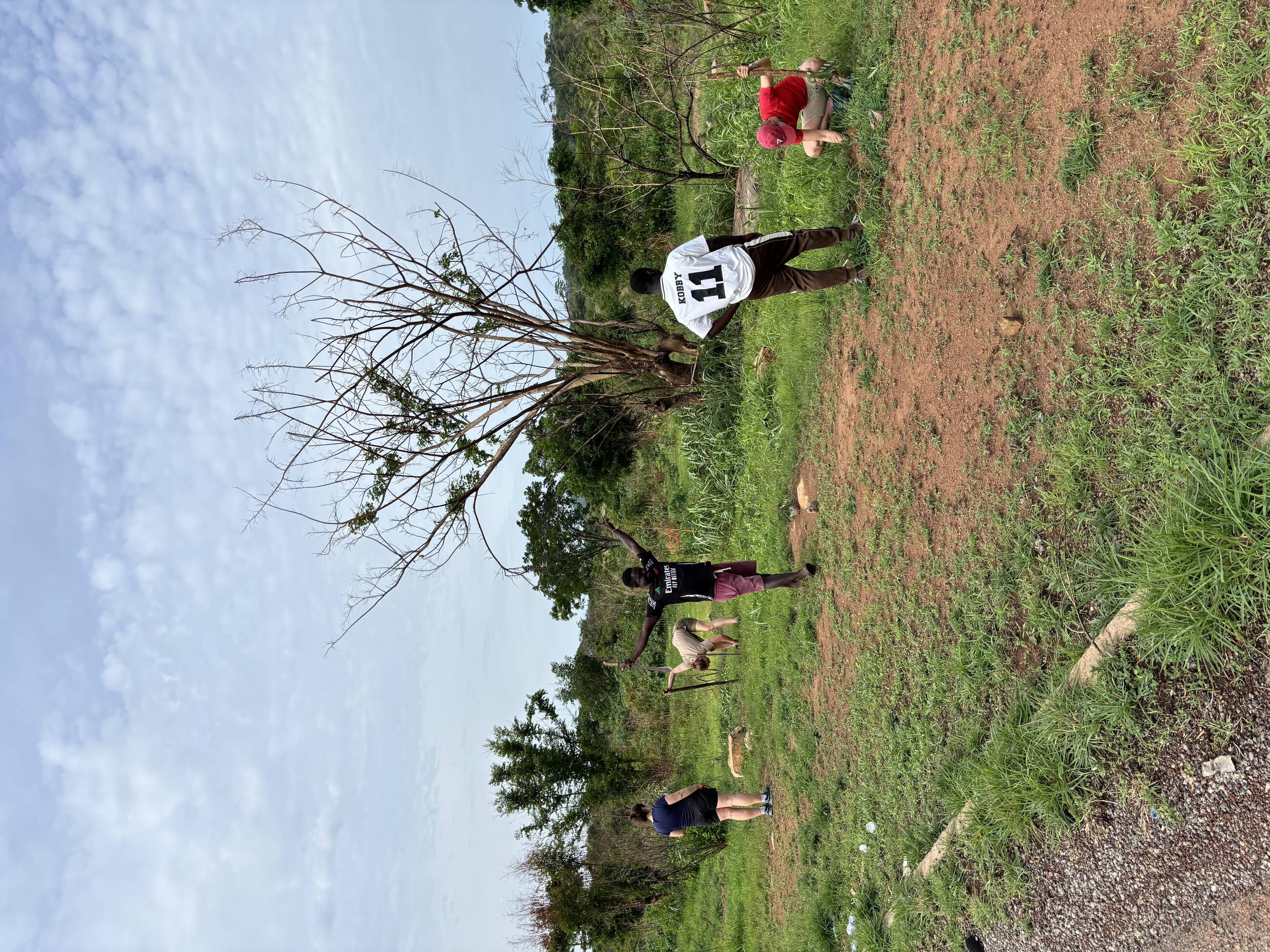 Reforestation 