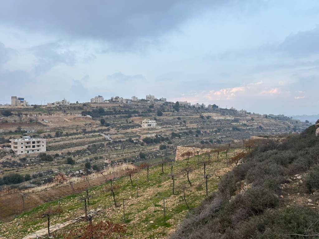 halhol