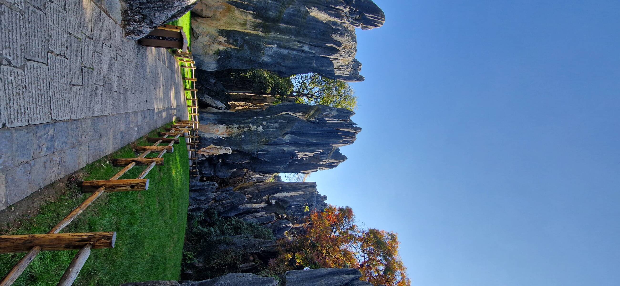 Stone forest