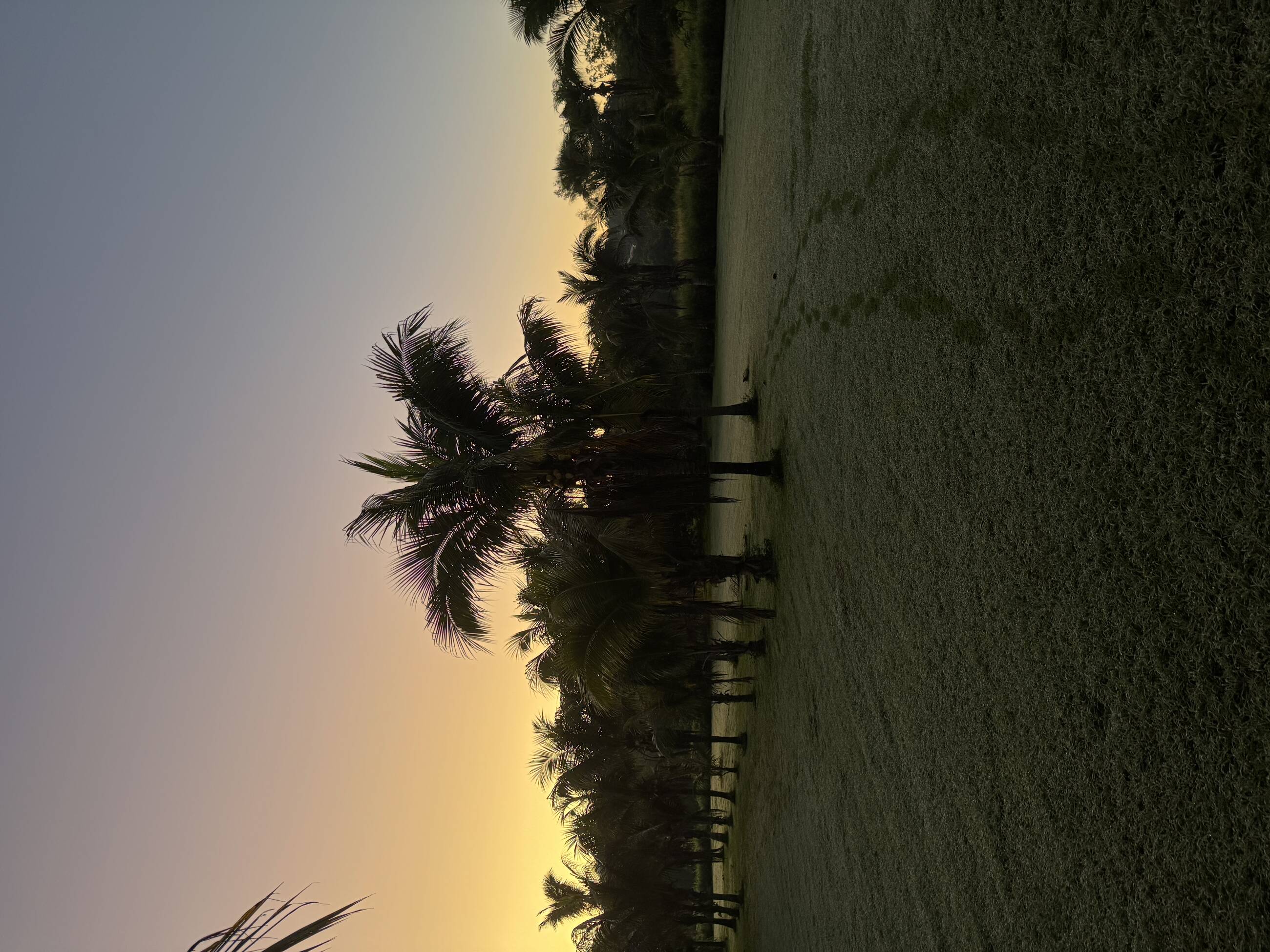 Sunset San Ignacio