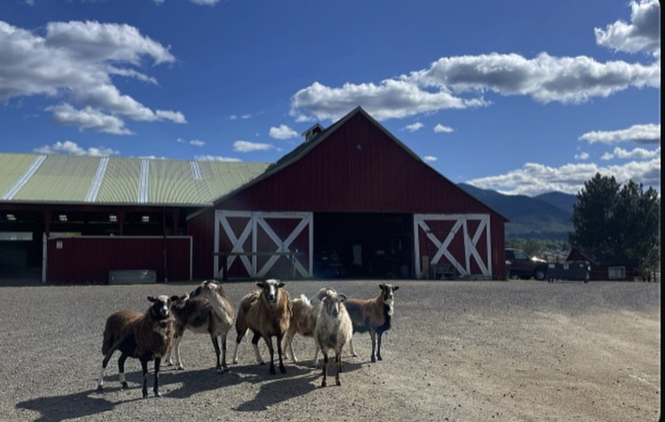 Ranch filming trip in Oregon