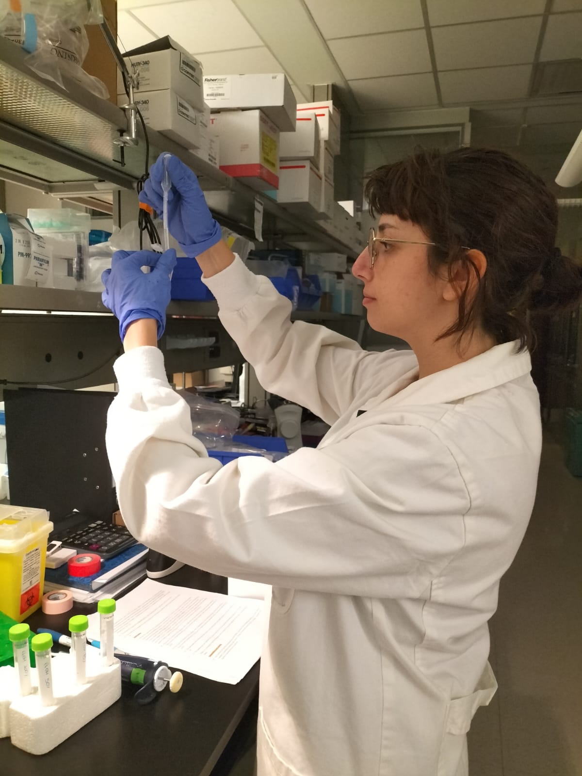 that's me while i was preparing the sample to the Electron microscopy analysis