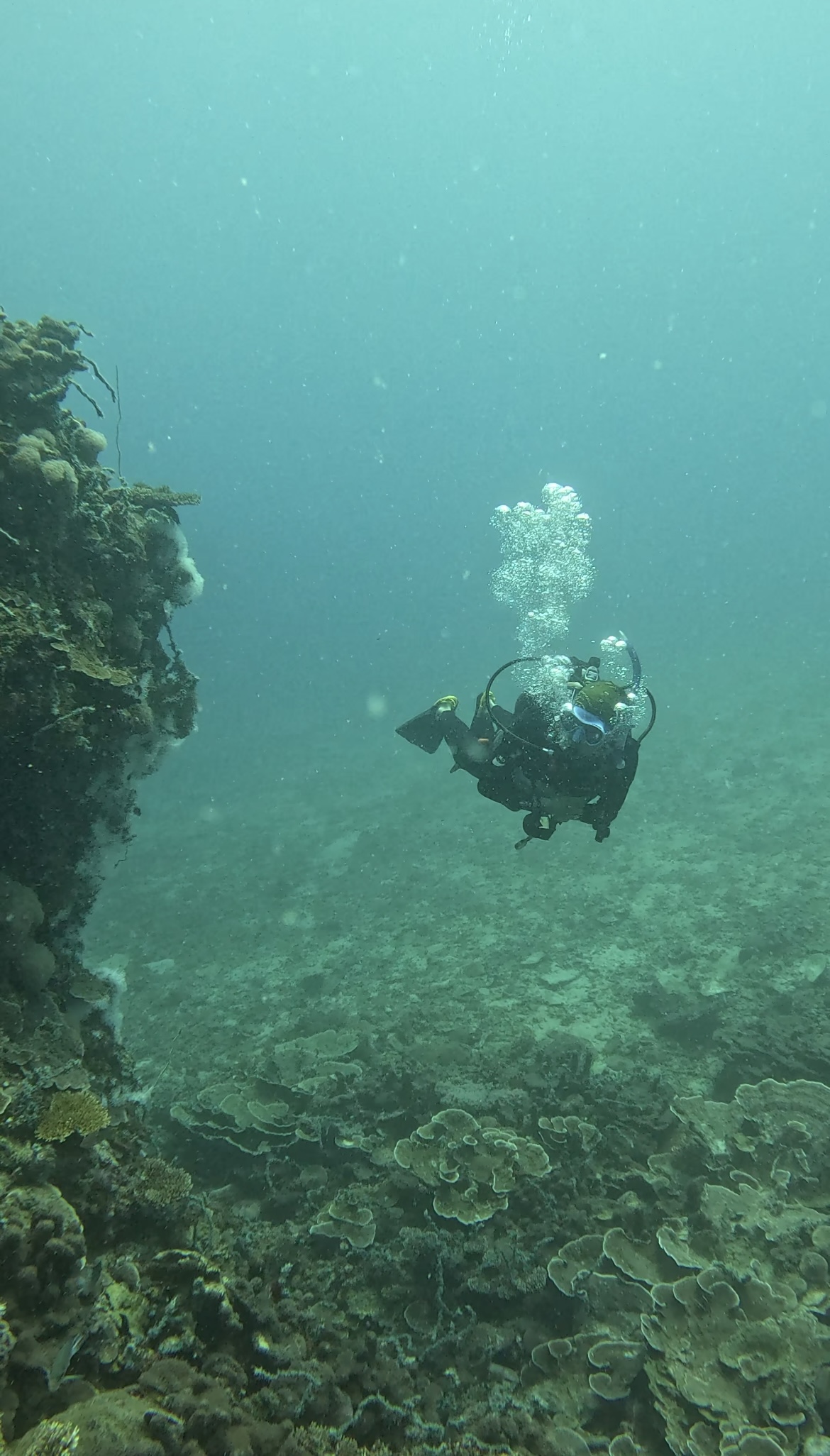 Diving