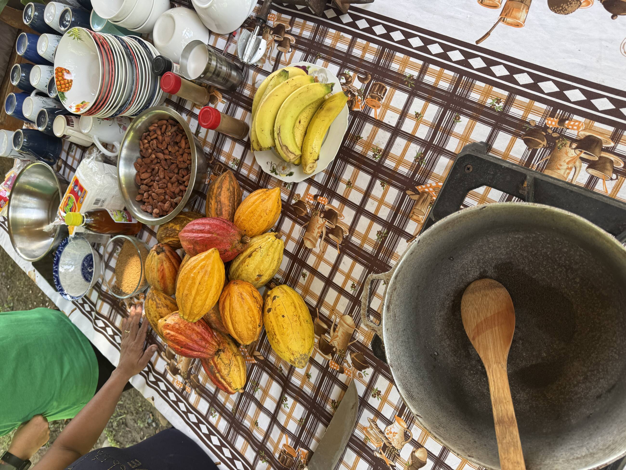 Learning to process cocoa beans by a local family to make chocolate 