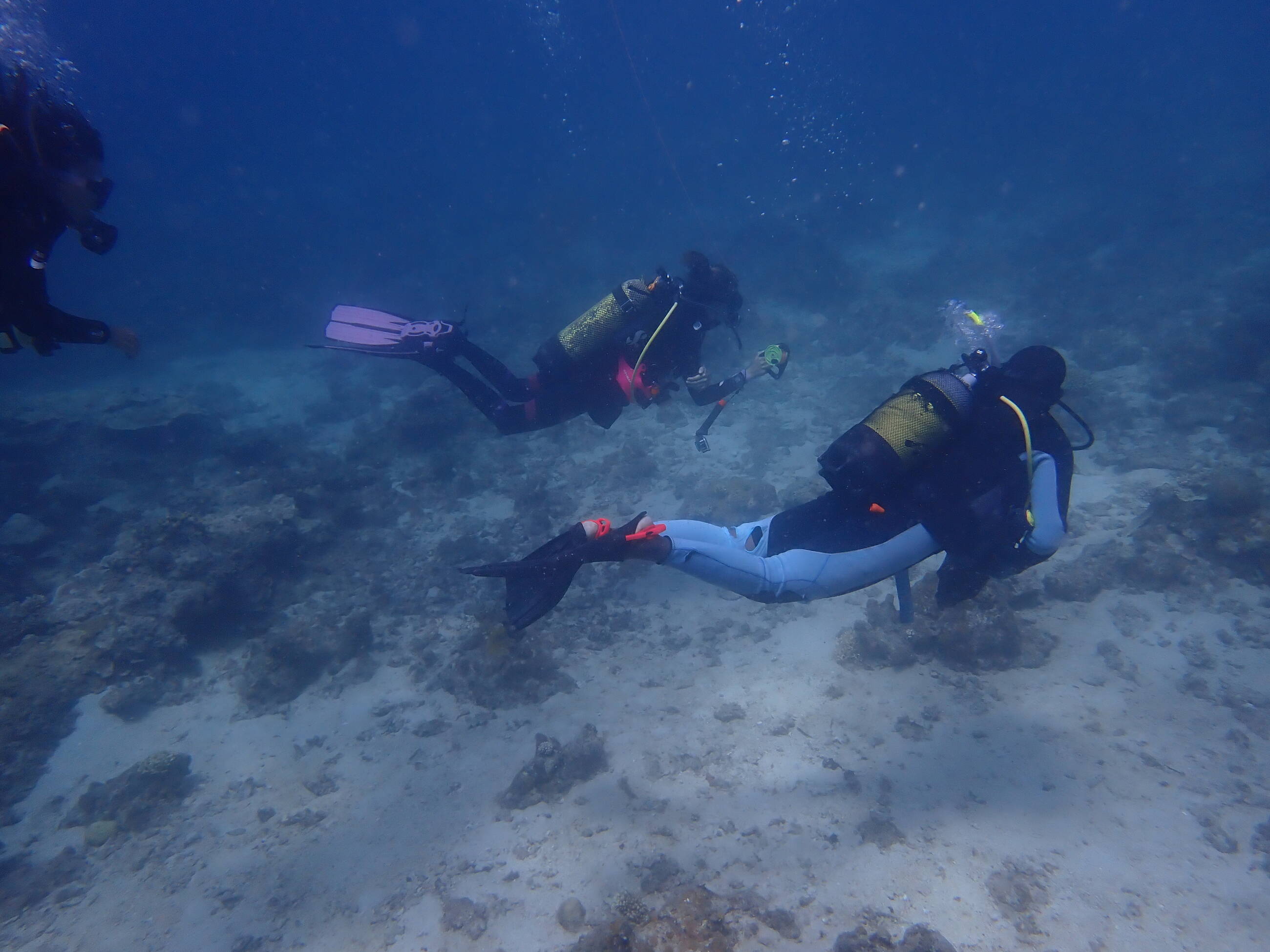 Divers underwater