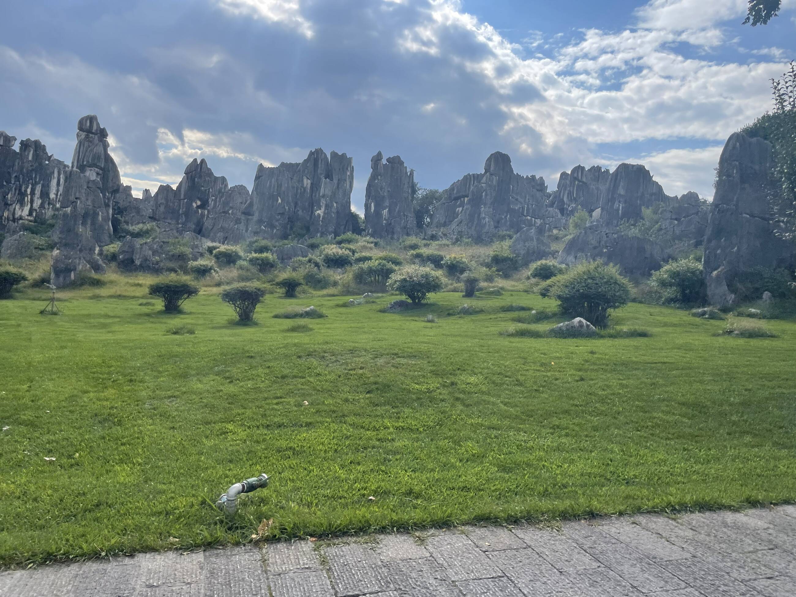 Group outing to Shilin Stone Forest.