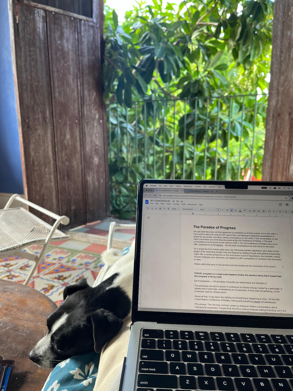 Drafting with my writing buddy on a quiet afternoon in Nohol