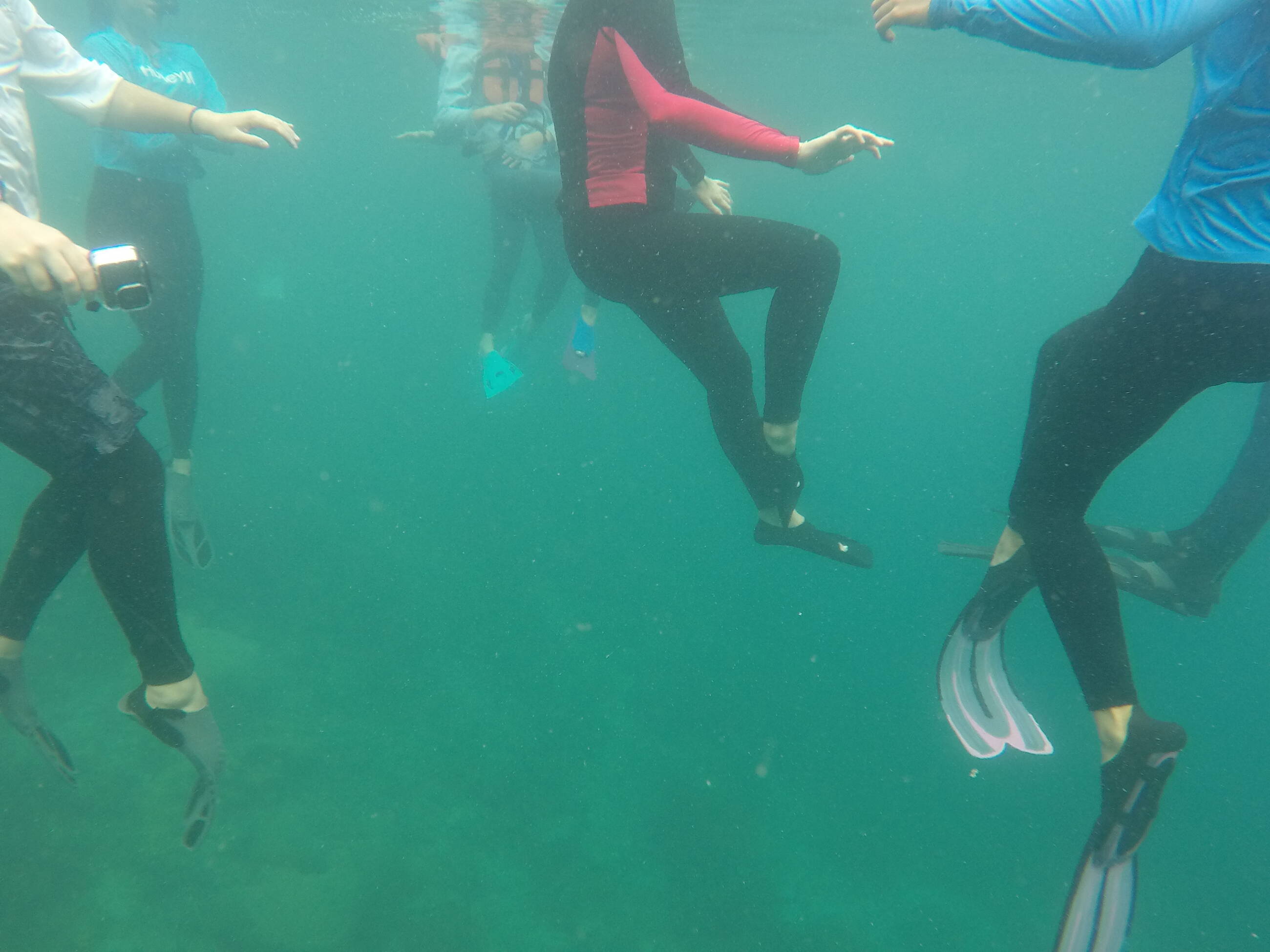Lecture on coral reefs in the water!