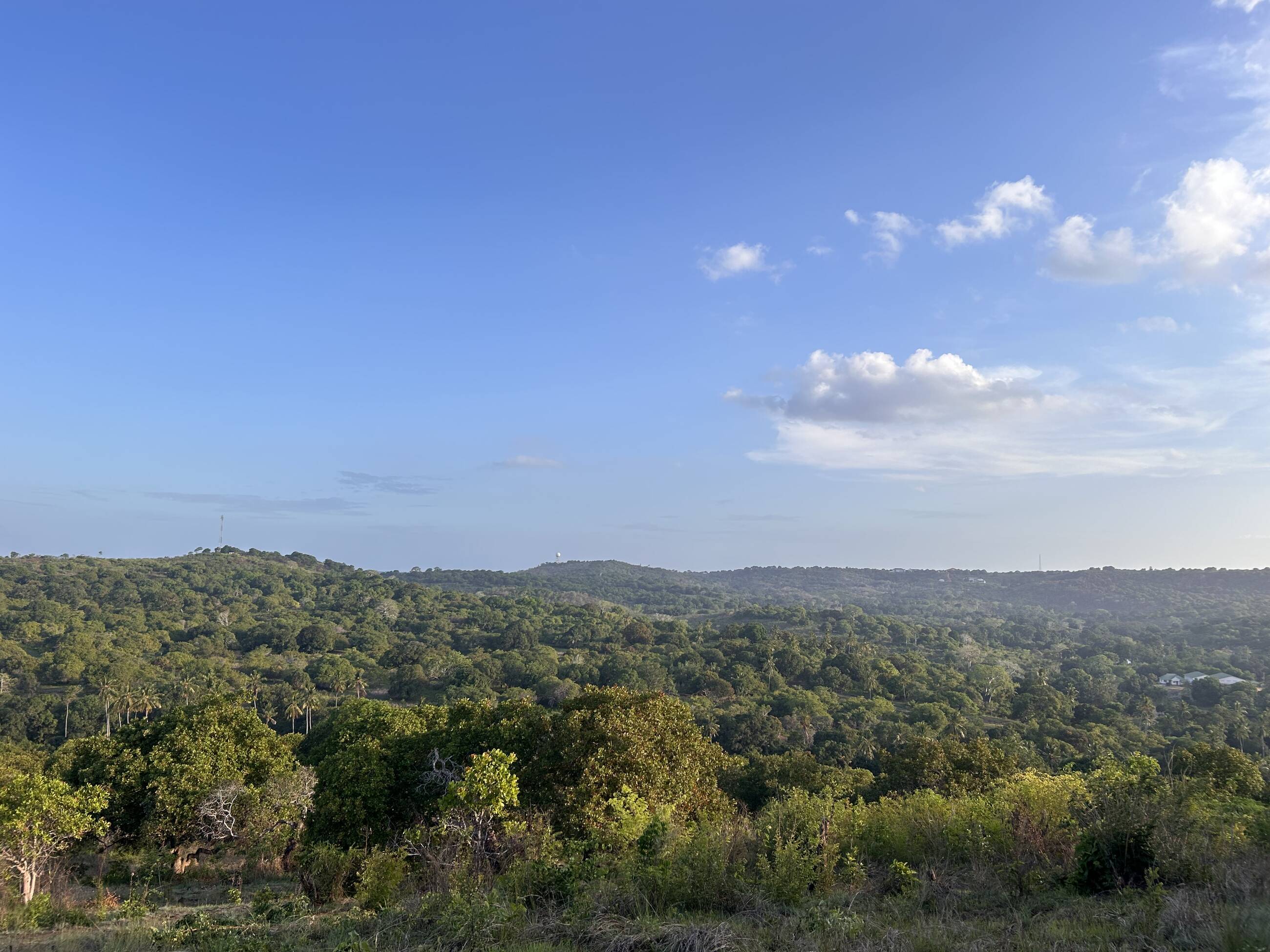 Countryside