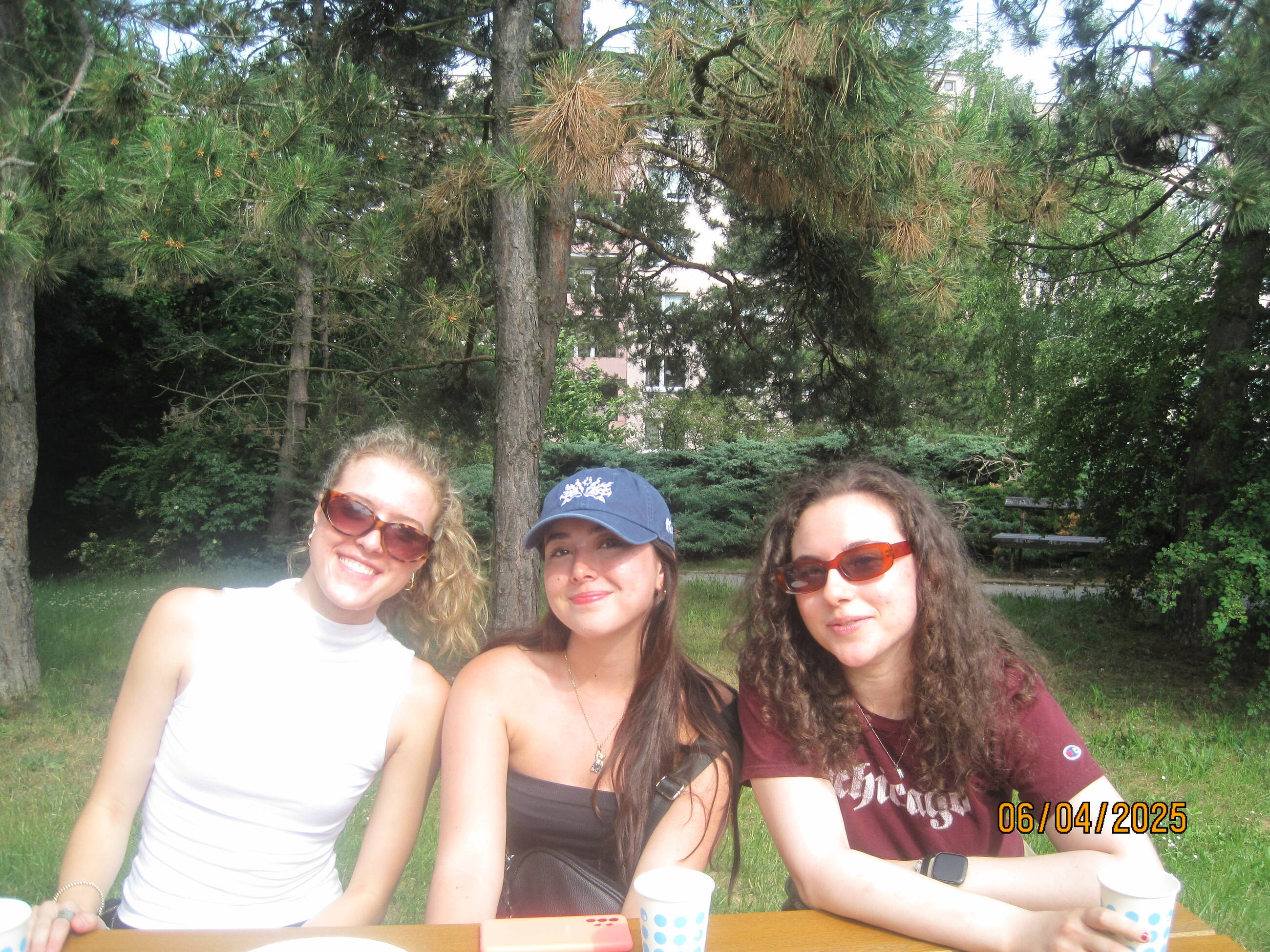Picnic in Brno