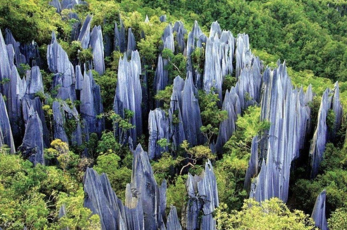 Stone Forest