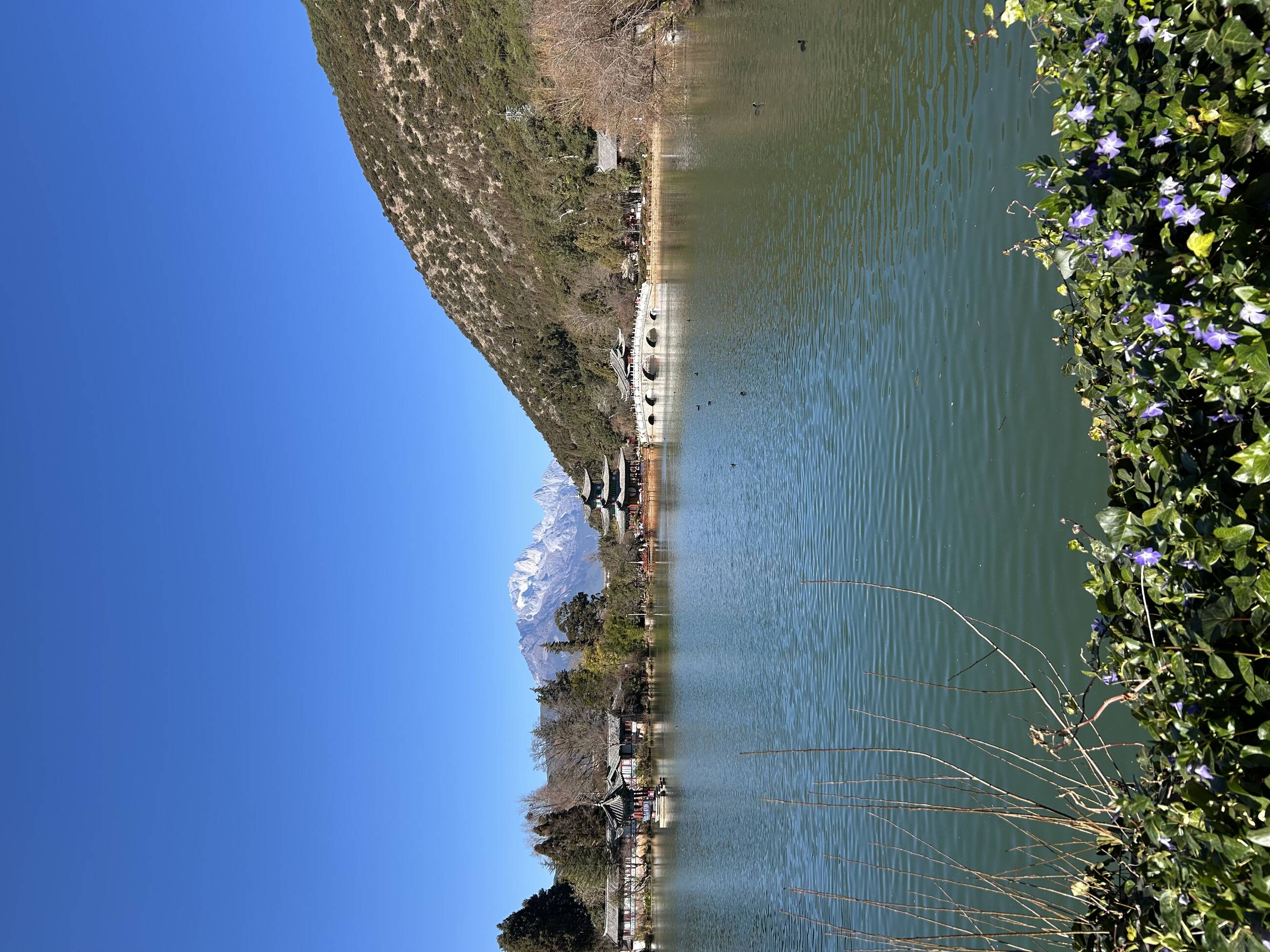 Park