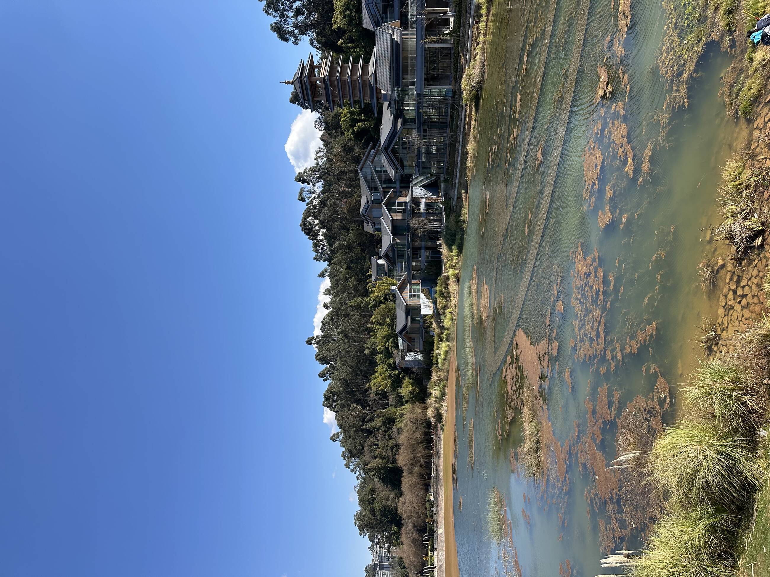 Shibo park