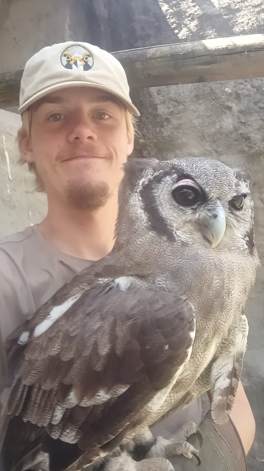 With Phil the Verreaux's Eagle Owl