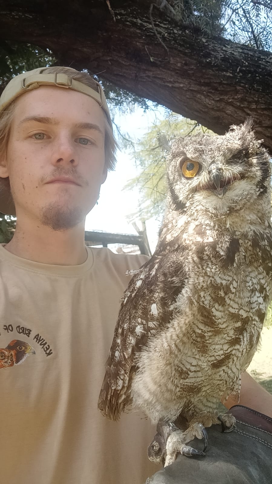 With Martin the Spotted-Eagle Owl