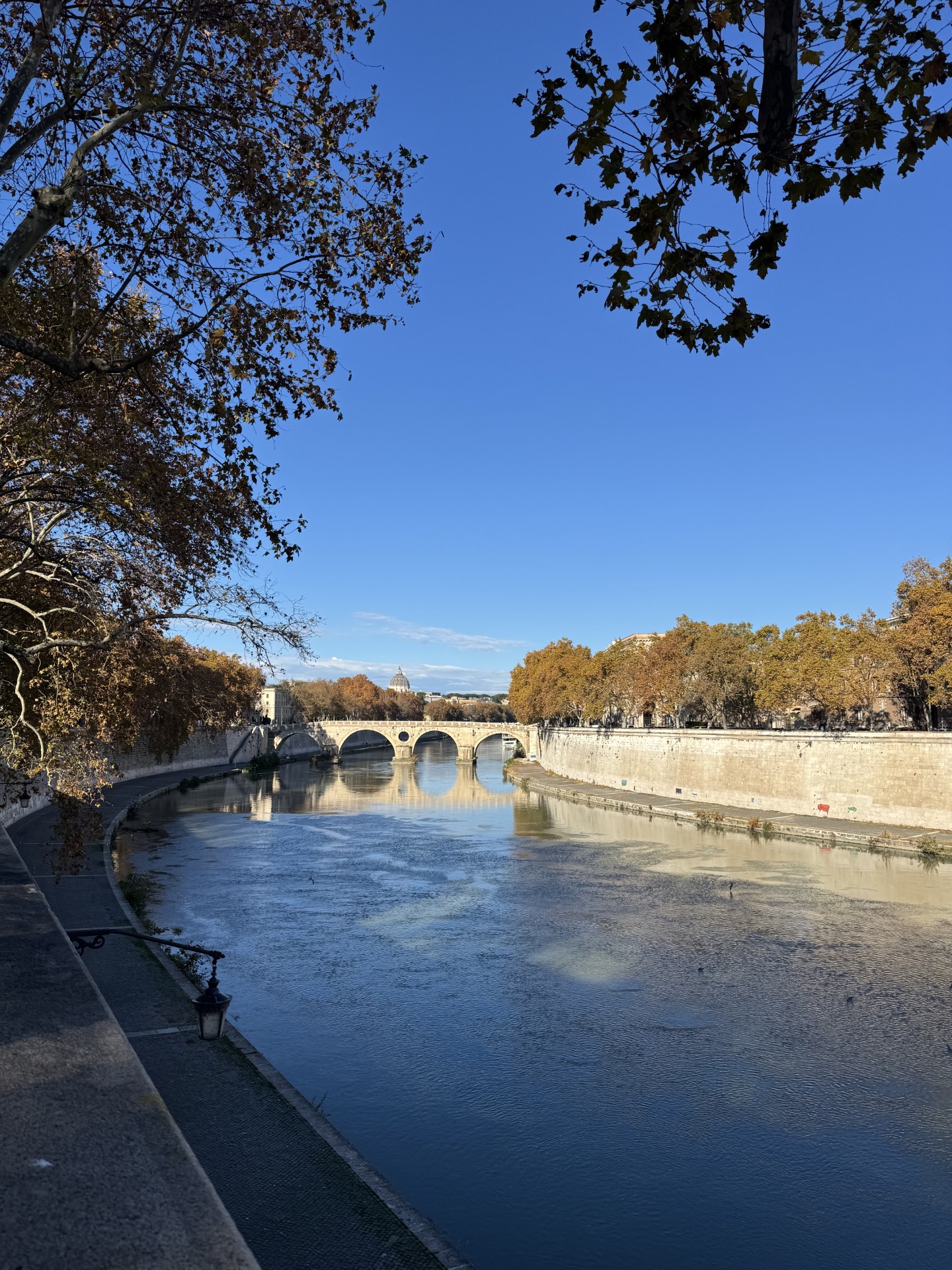 View of Vatican City from the Tiber River