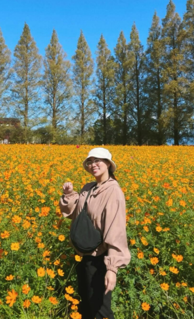 Cosmos in Kobayashi 