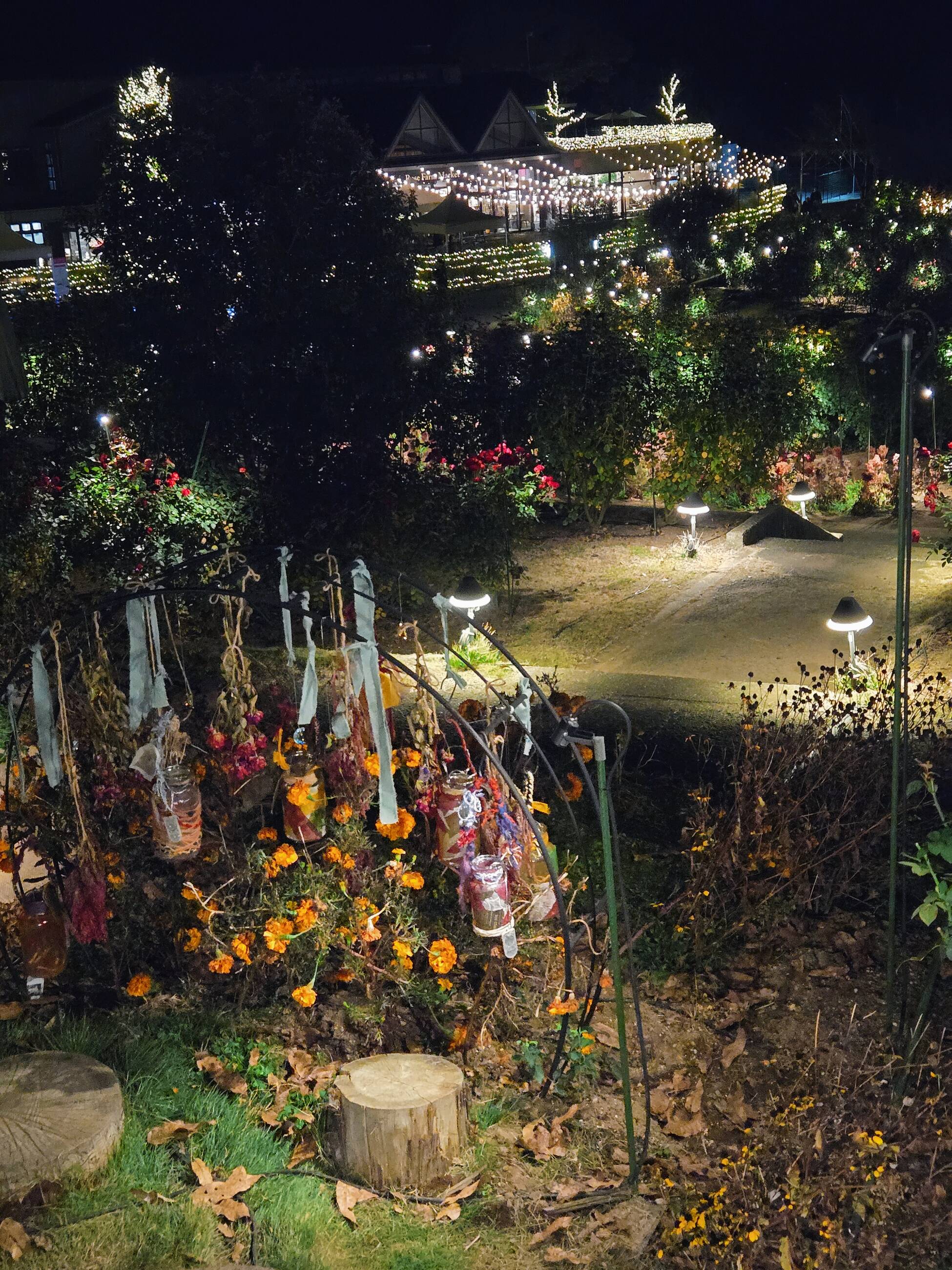 Ibaraki Flower Park 