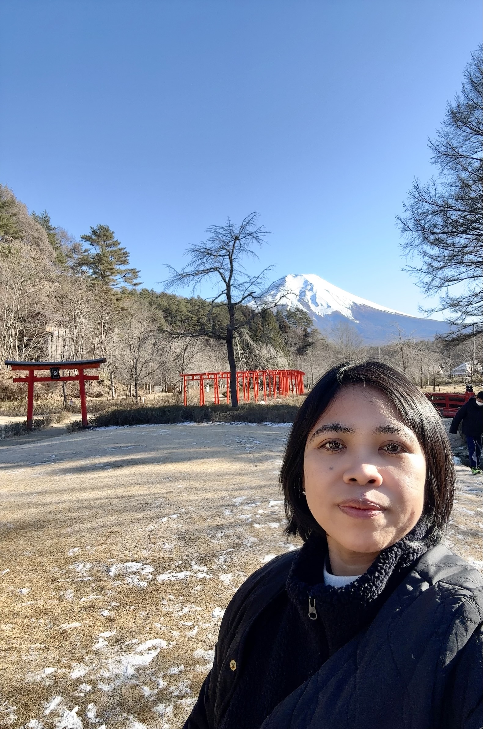 Awesome Mt. Fuji