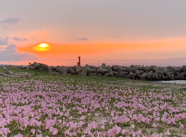 Yaezuhama Beach, Toyama, Japan