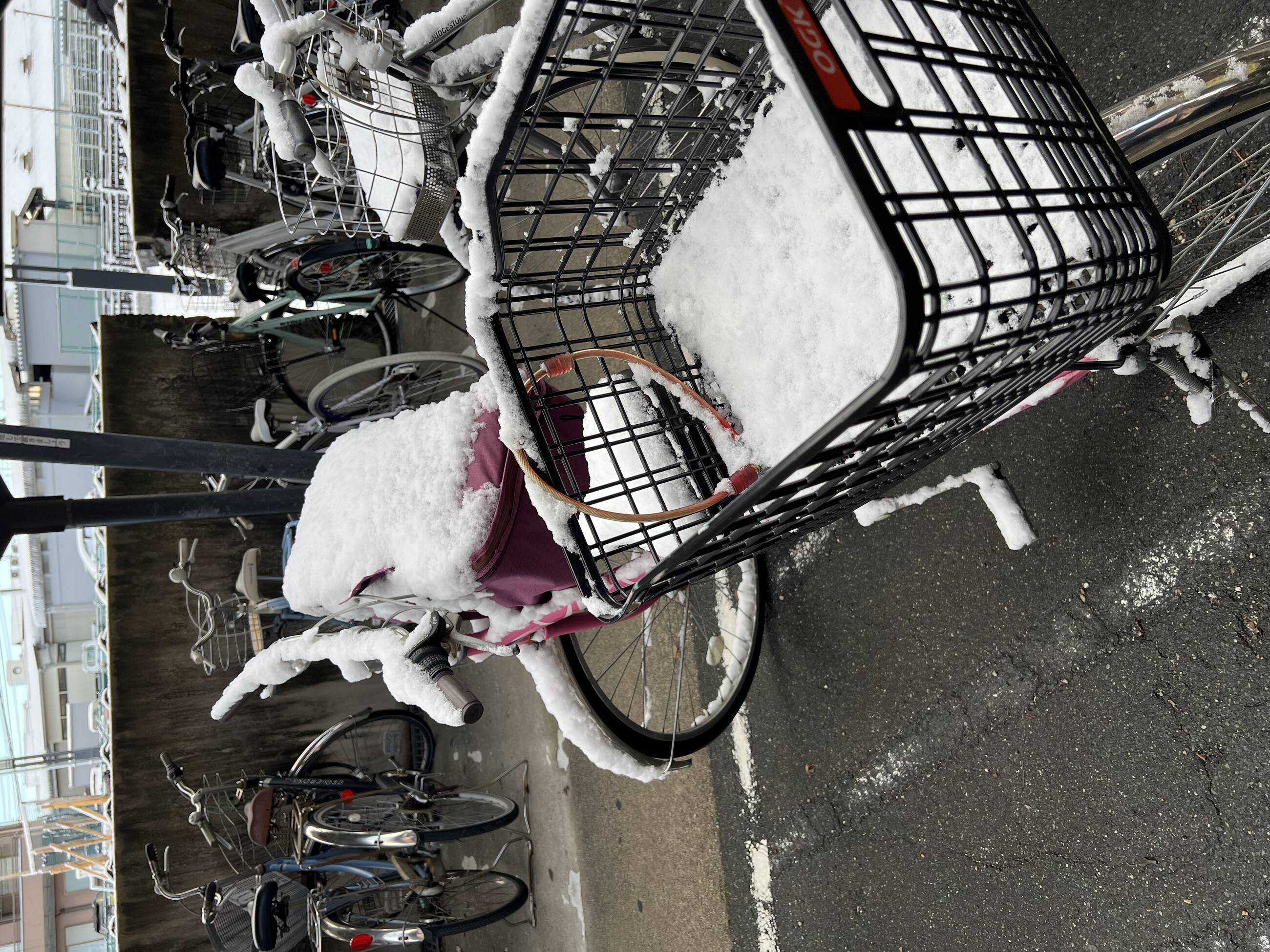 Frozen bicycle during the winter  season 
