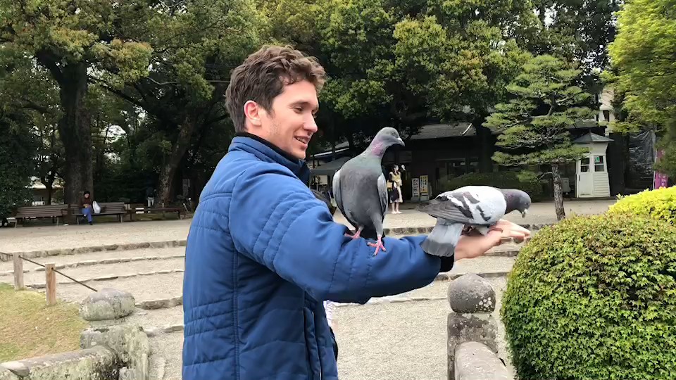 Suizenji Park 