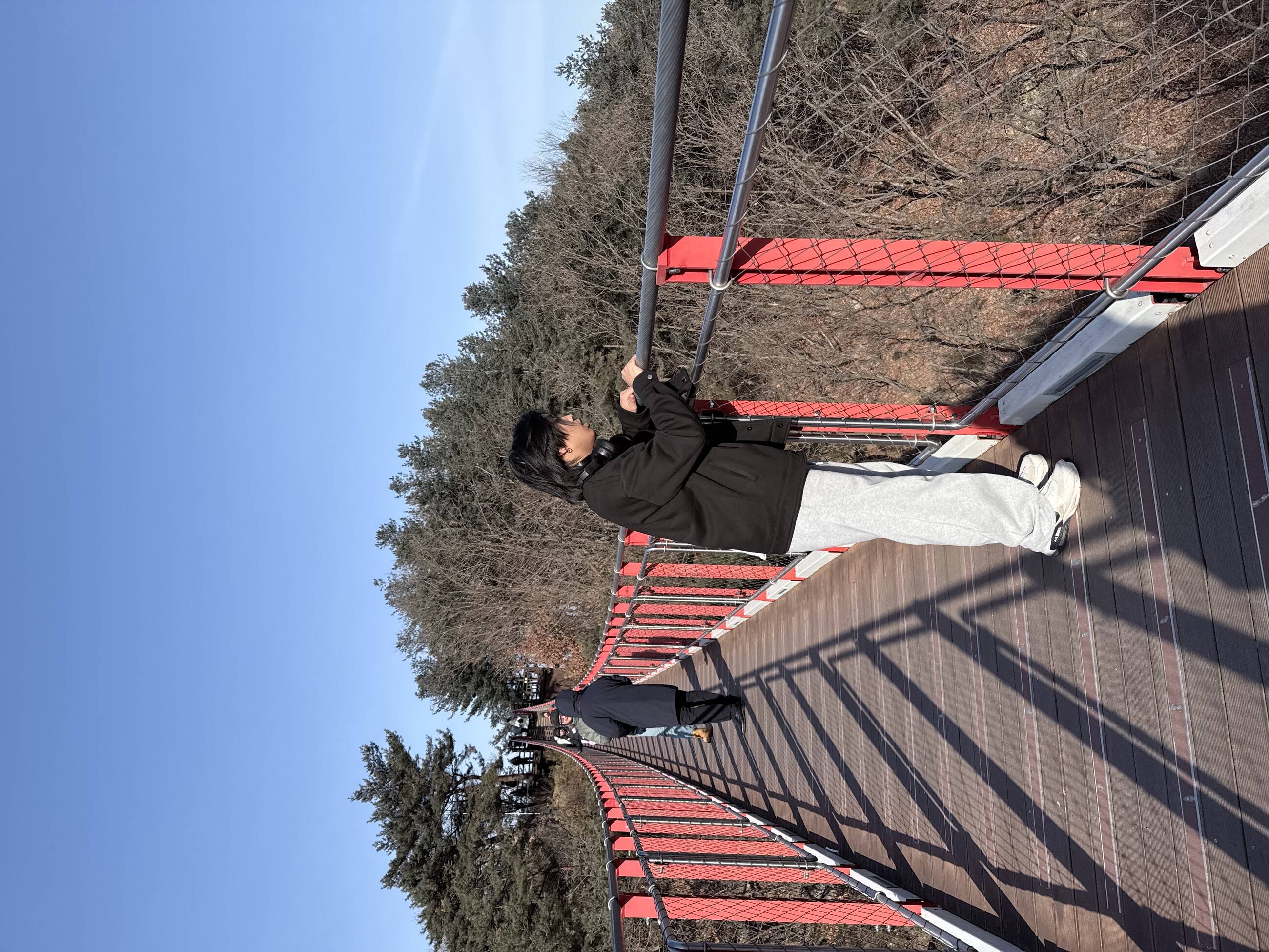 Suspension Bridge near DMZ