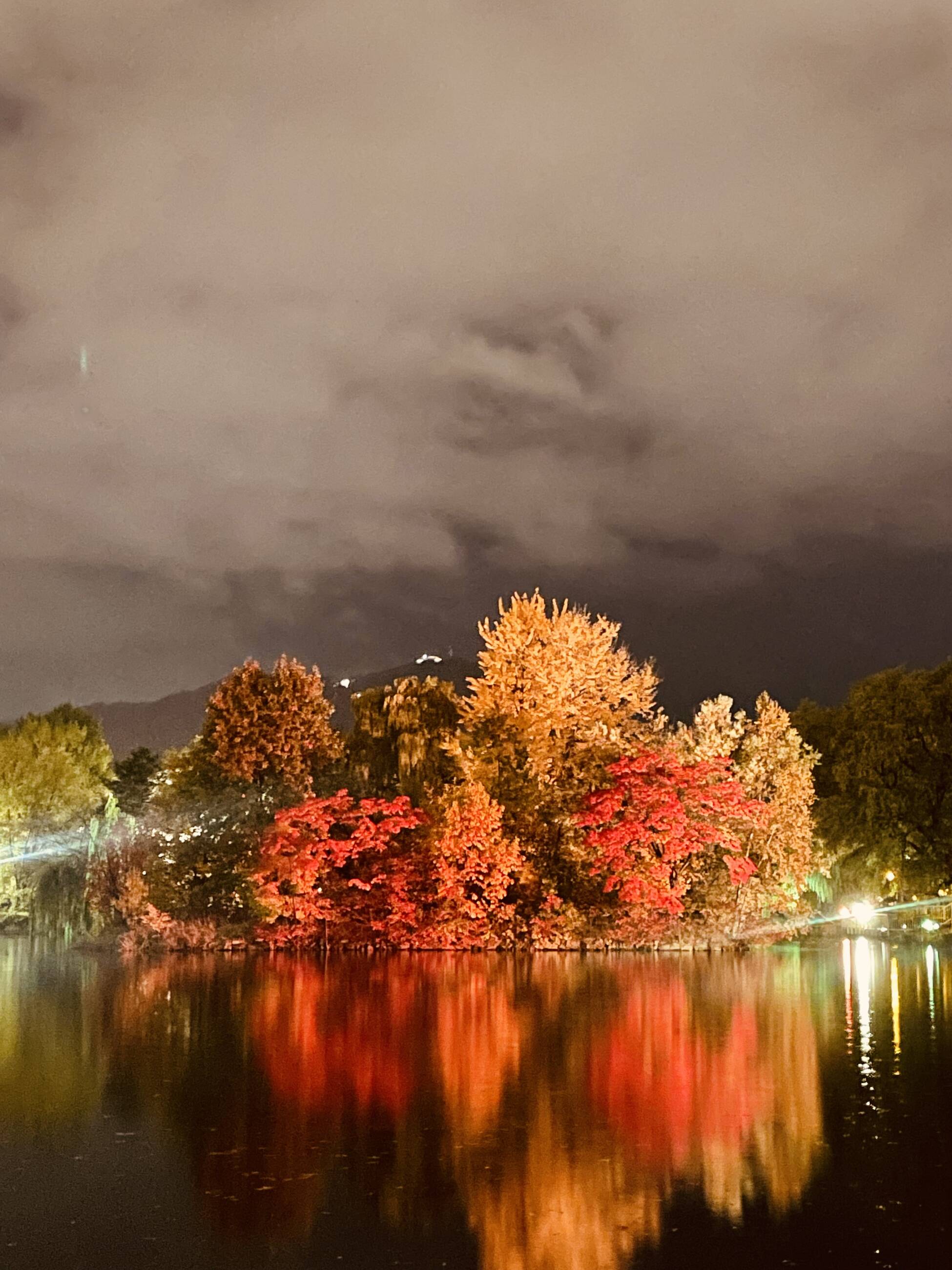 Nakajima Park Fall Colors